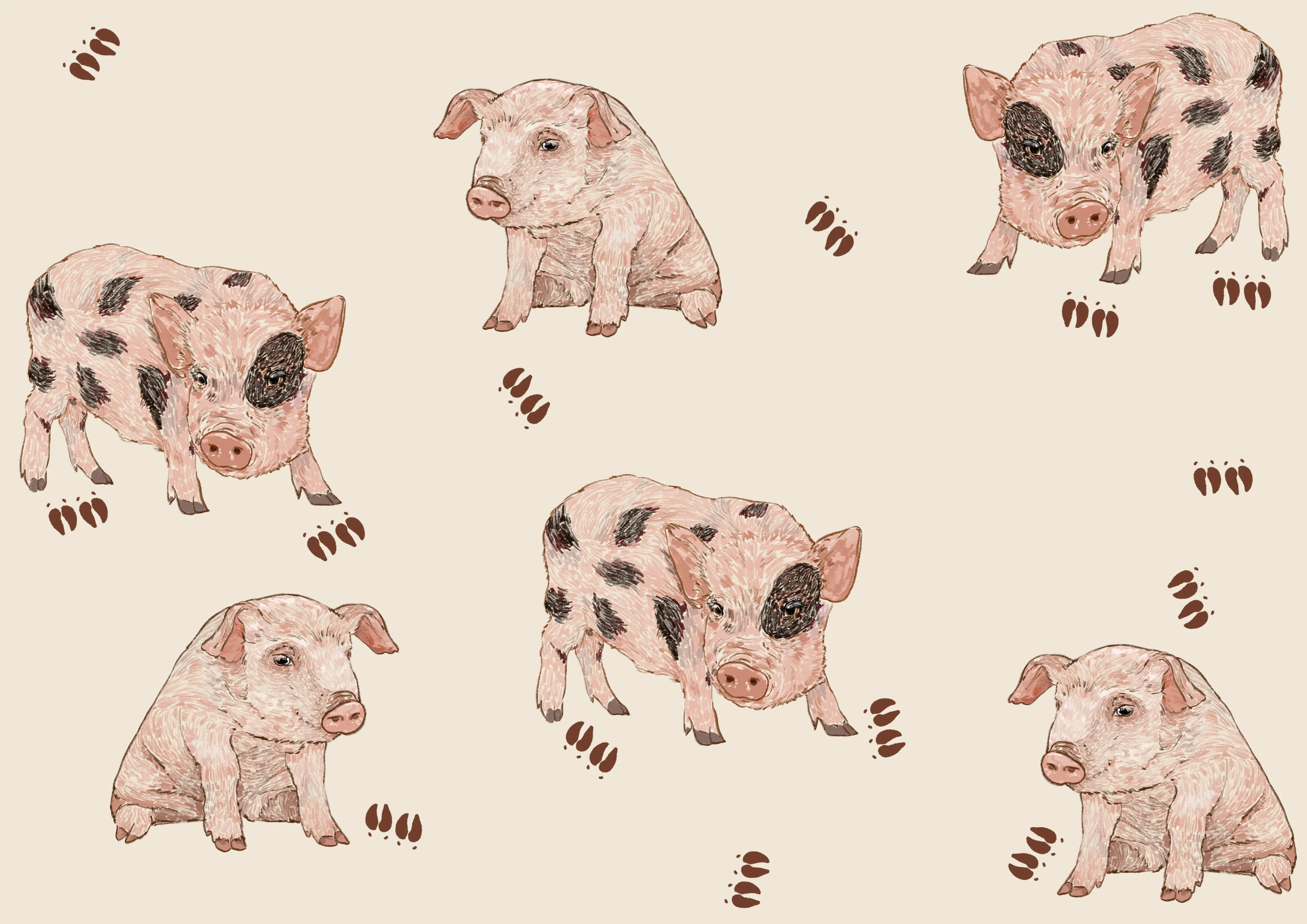 Polaina Cerditos Iggy y Pork - Imagen 4
