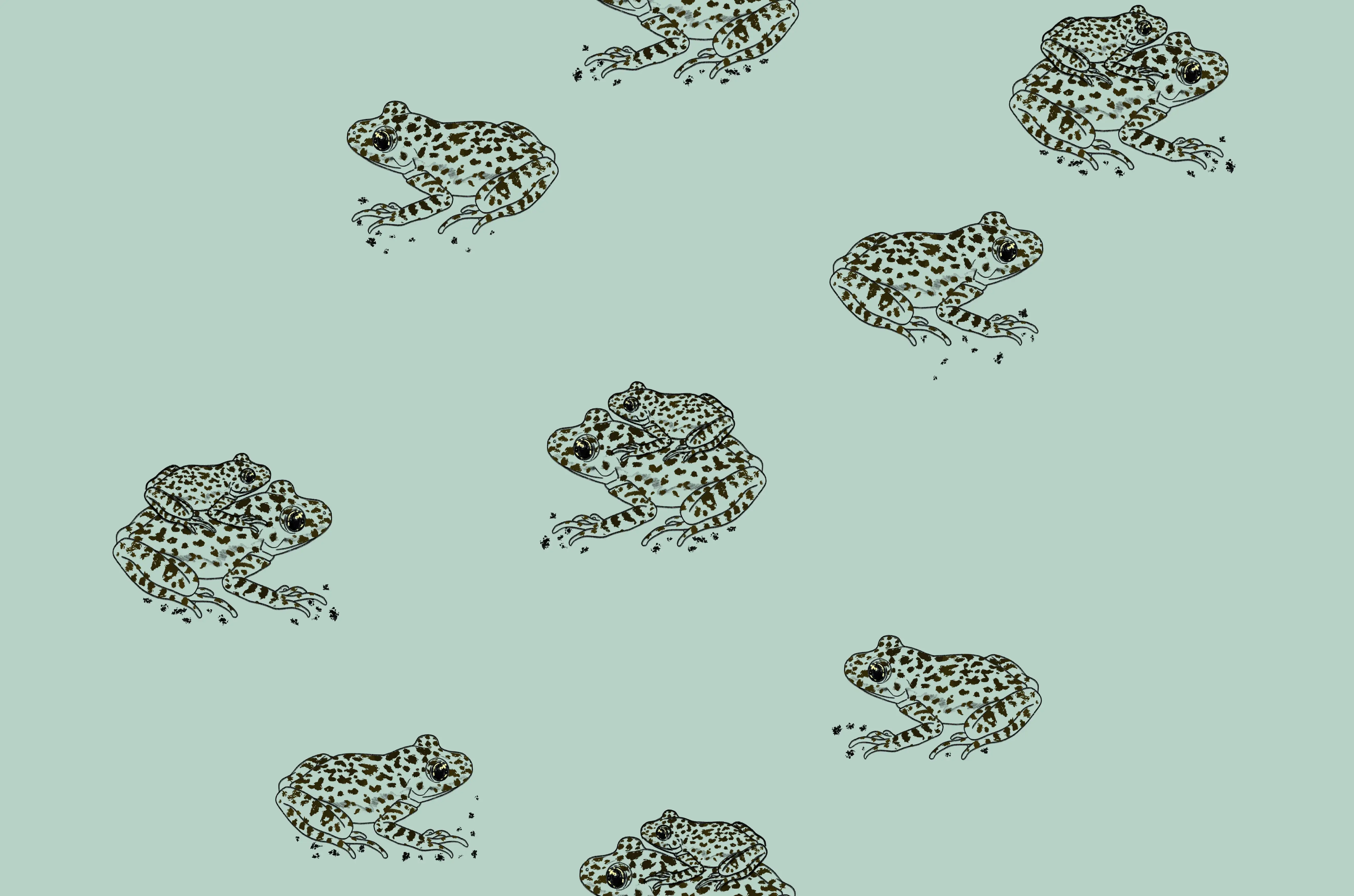 Sudadera Ferreret - Imagen 4