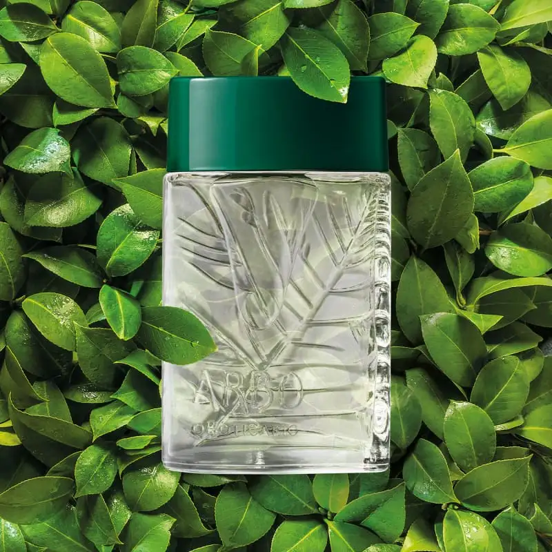 ARBO EAU DE TOILETTE, 100ML - Imagen 2