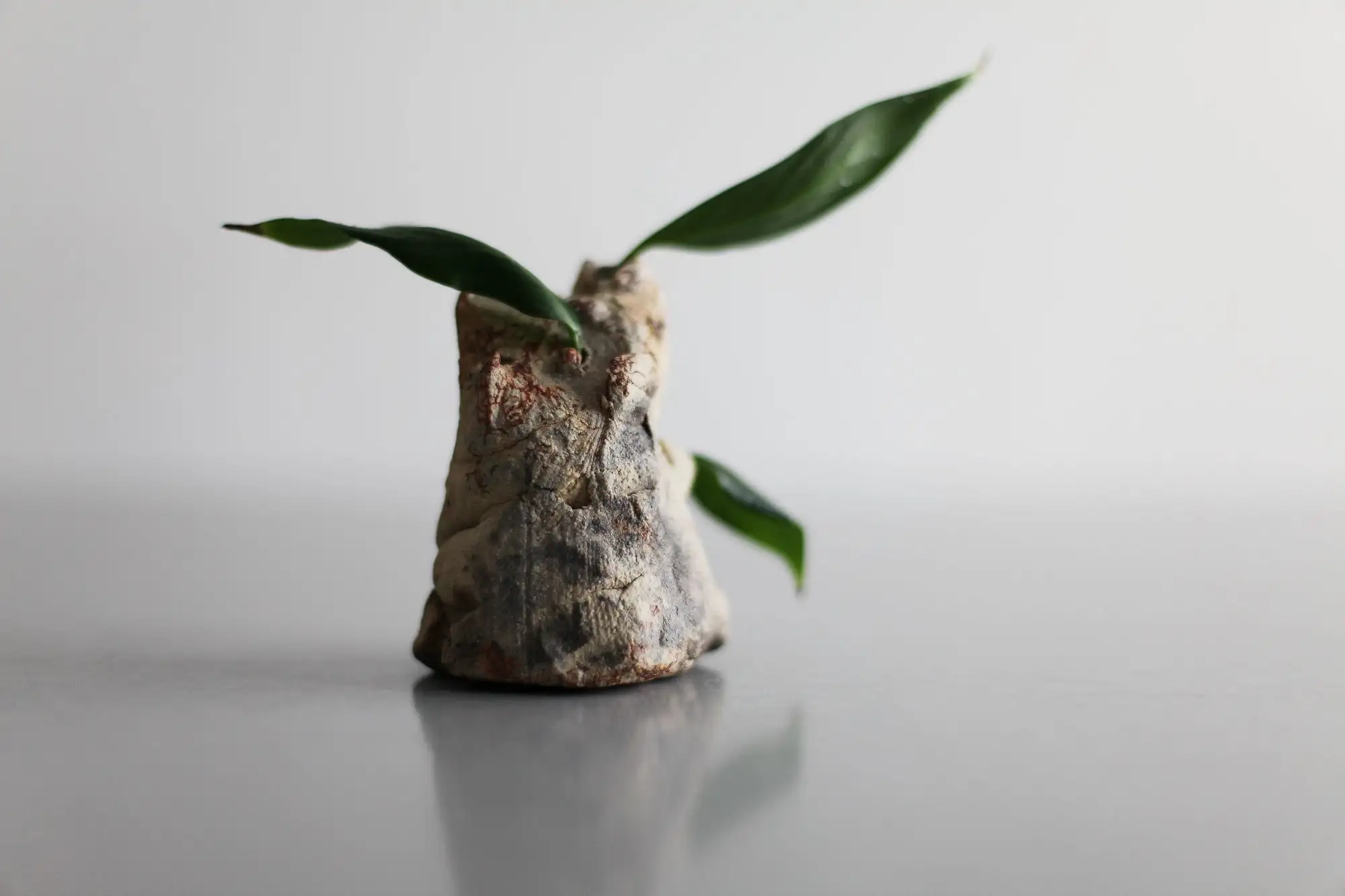 Jarrón de cogollos, jarrón en miniatura, jarrón ikebana, jarrón, mini jarrón - Imagen 3