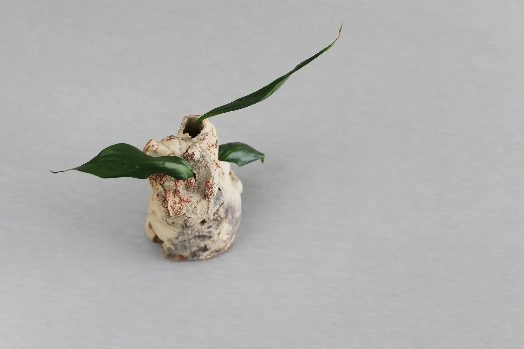 Jarrón de cogollos, jarrón en miniatura, jarrón ikebana, jarrón, mini jarrón - Imagen 4