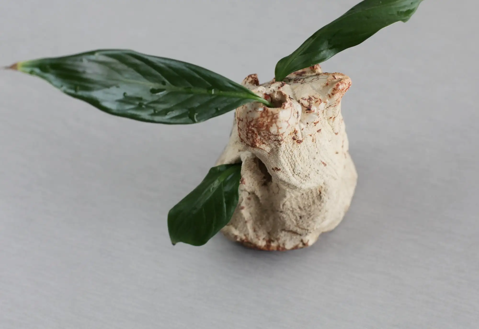Jarrón de cogollos, jarrón en miniatura, jarrón ikebana, jarrón, mini jarrón - Imagen 6
