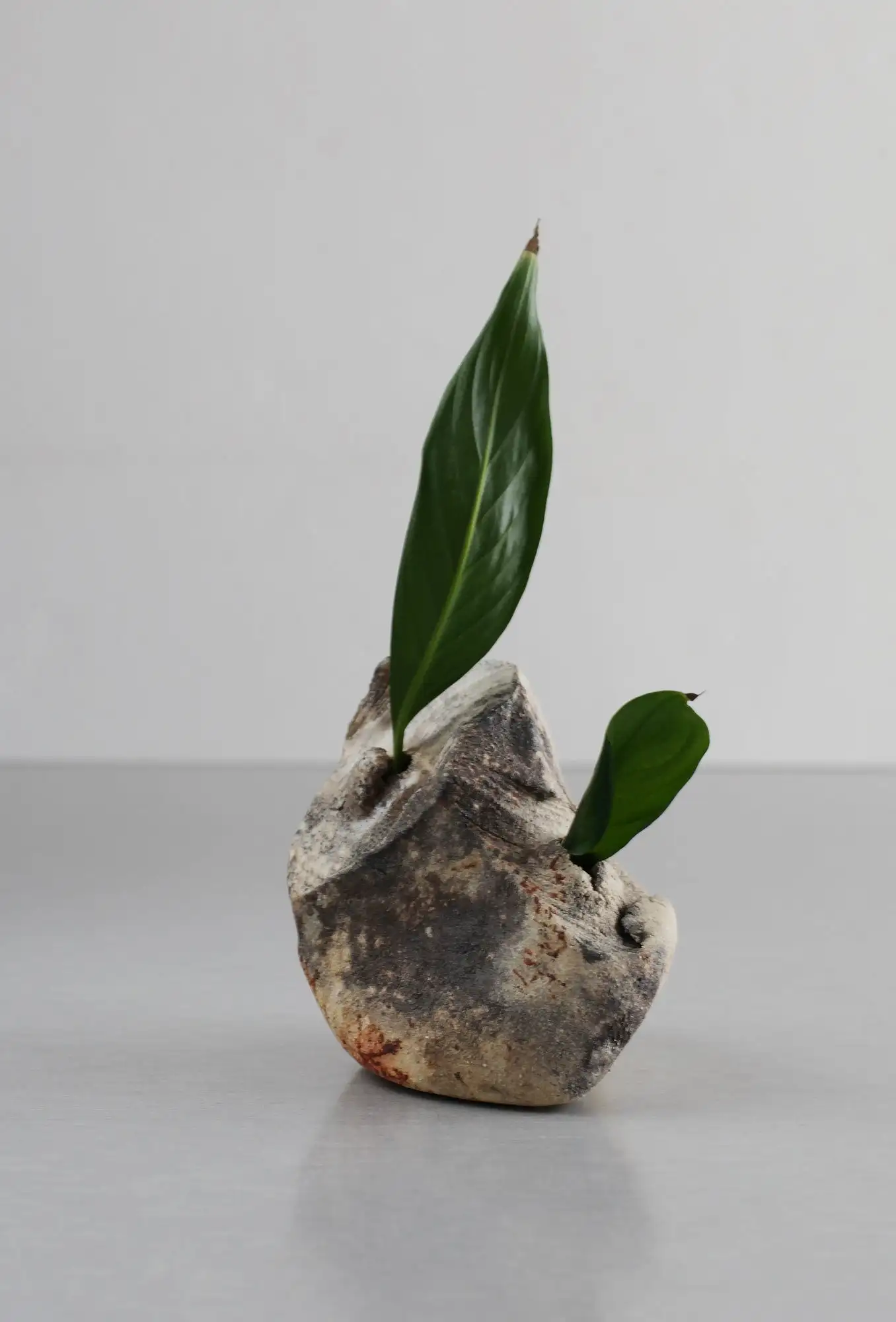 Jarrón de cogollos, jarrón en miniatura, jarrón ikebana, jarrón, mini jarrón - Imagen 4