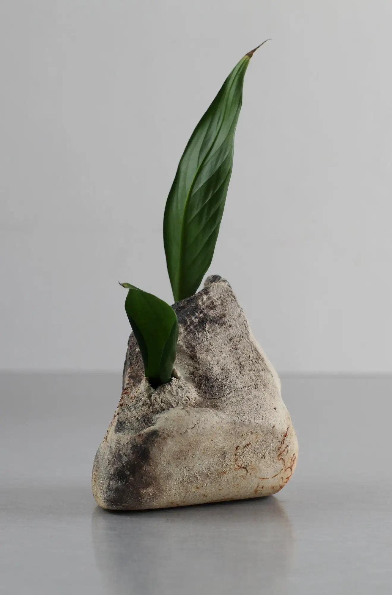 Jarrón de cogollos, jarrón en miniatura, jarrón ikebana, jarrón, mini jarrón - Imagen 8