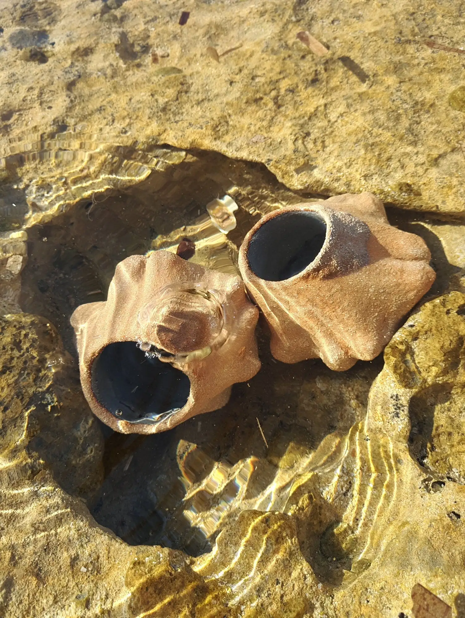 Jarrón de gres en forma de calabaza, portavelas - Imagen 10