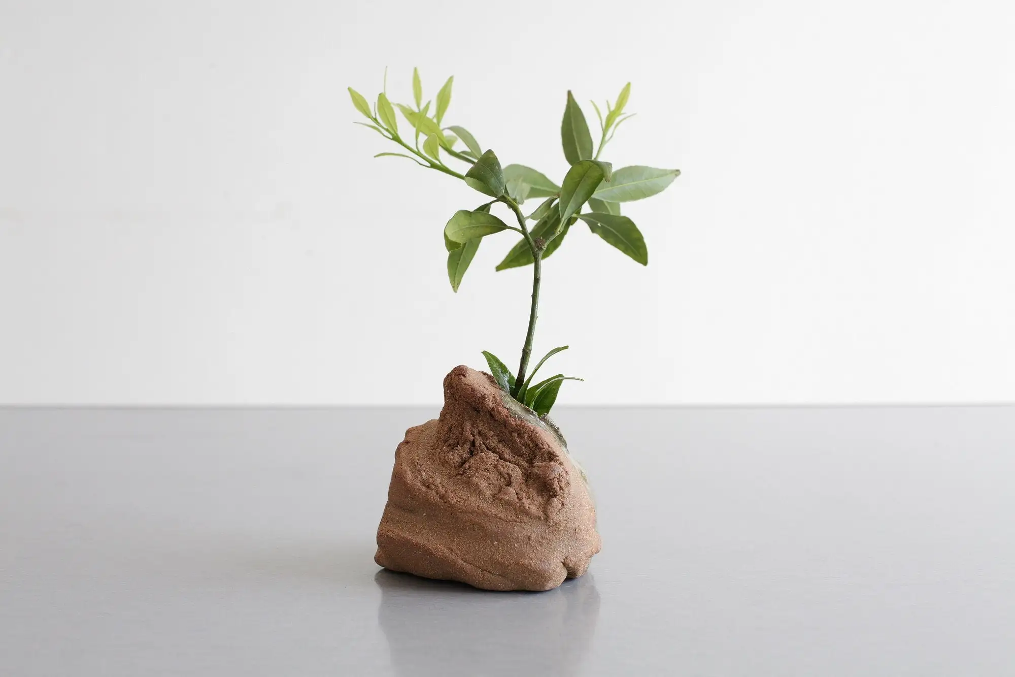 Jarrón de cogollos orgánicos - jarrón ikebana, pieza de acento