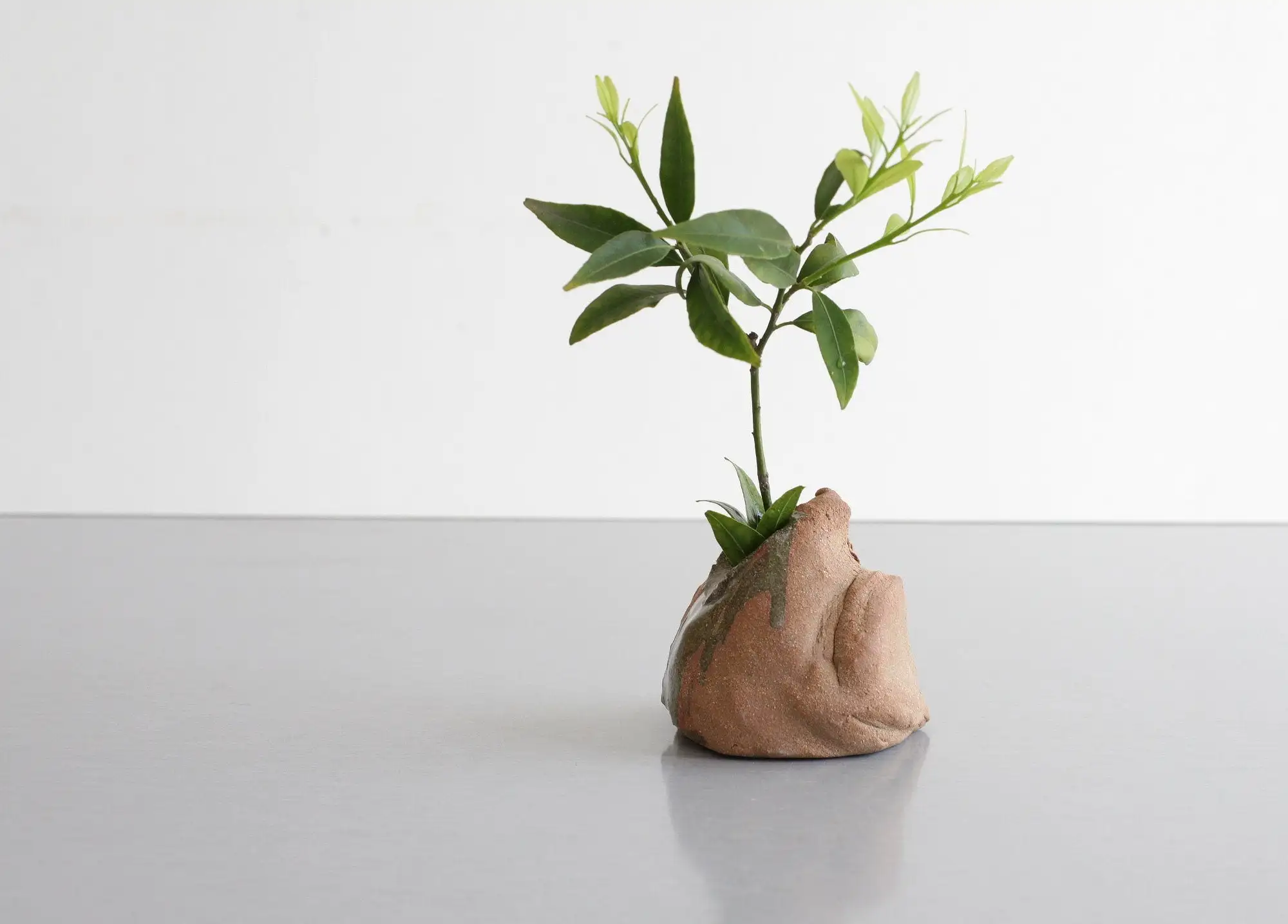 Jarrón de cogollos orgánicos - jarrón ikebana, pieza de acento - Imagen 2