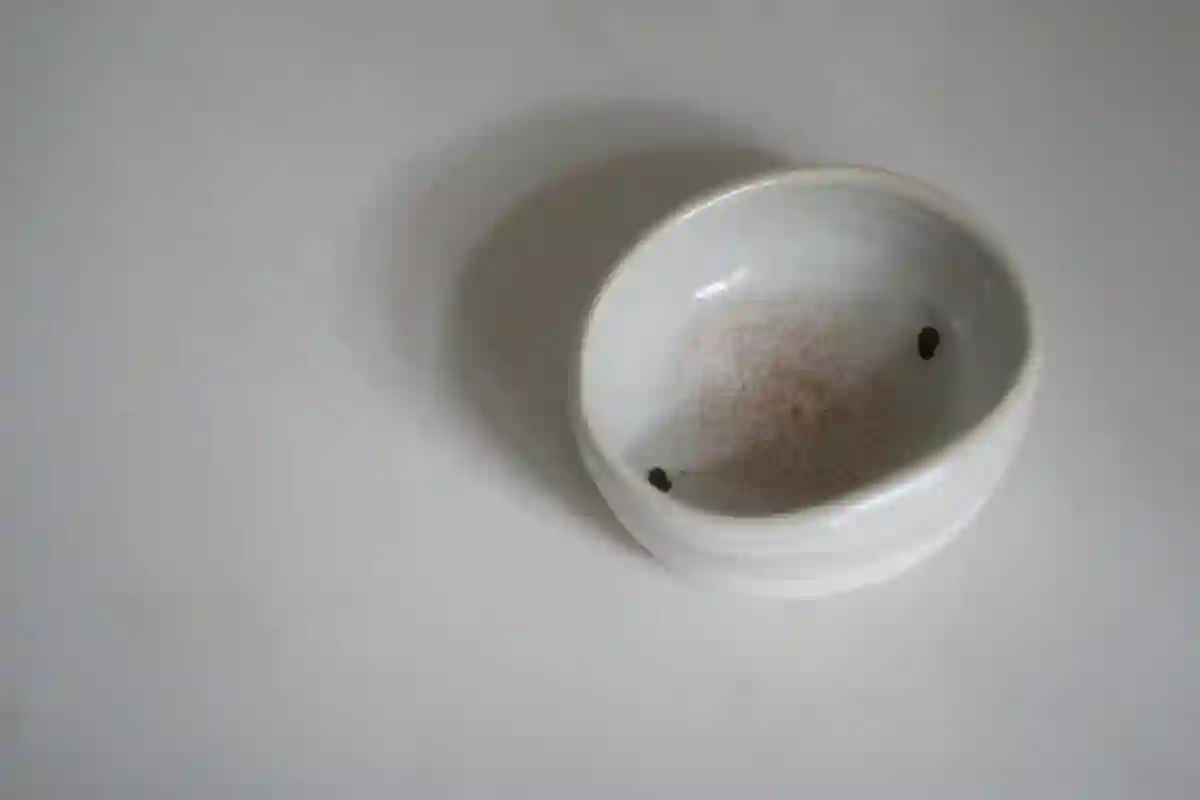 Cuenco de porcelana