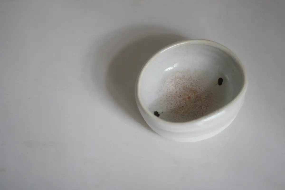 Cuenco de porcelana