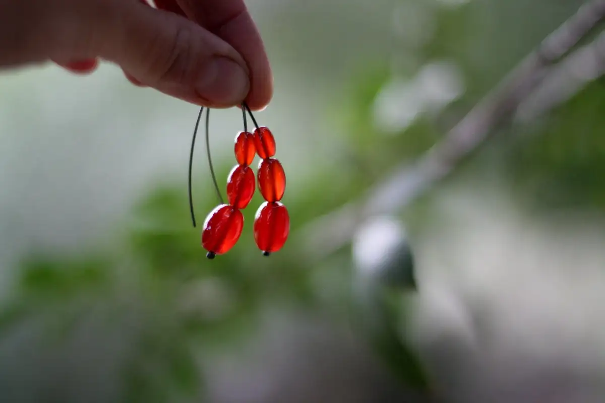 Rosa canina - pendientes de aro abiertos de plata de primera ley con cornalina