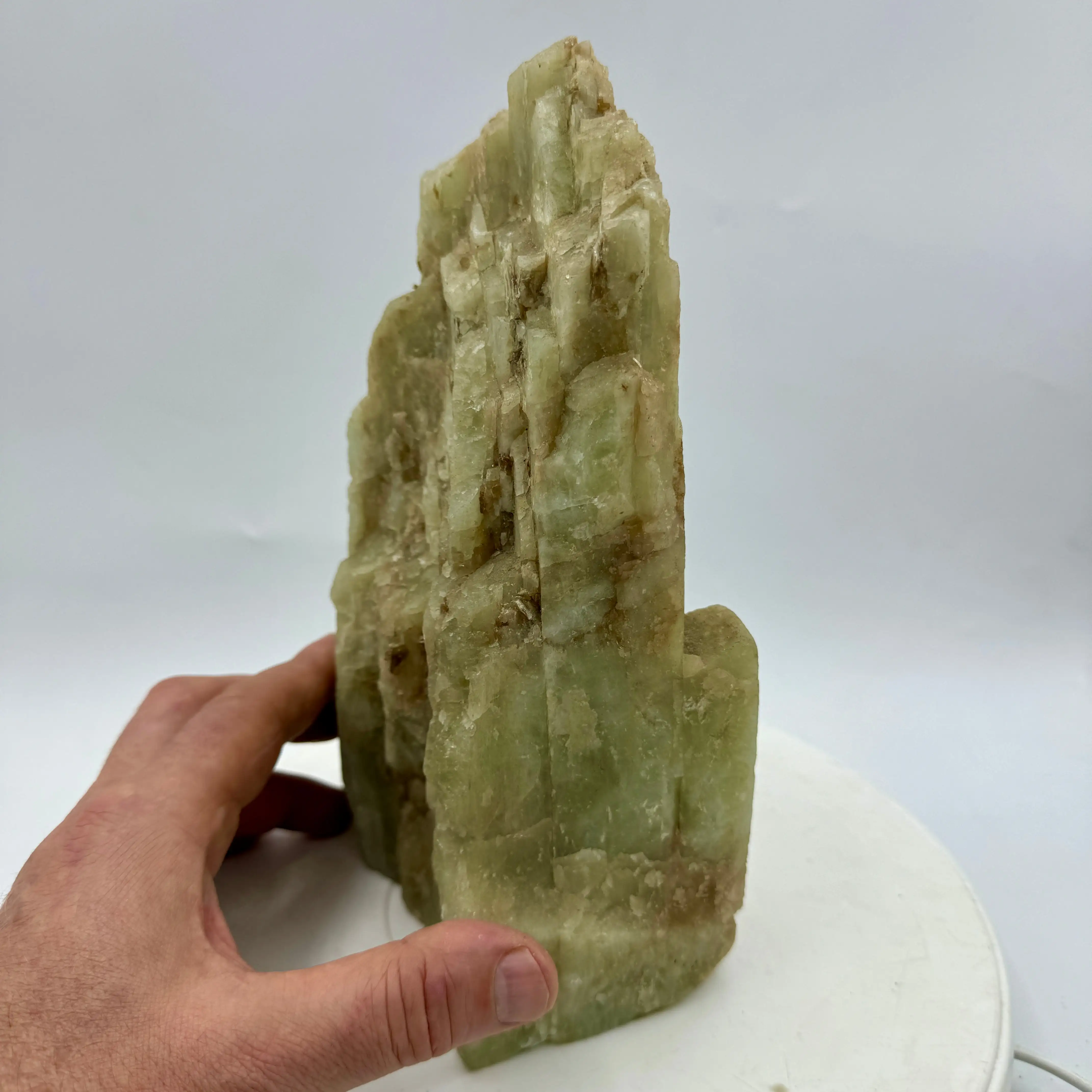 AGUAMARINA 3,3 kg. - Imagen 2
