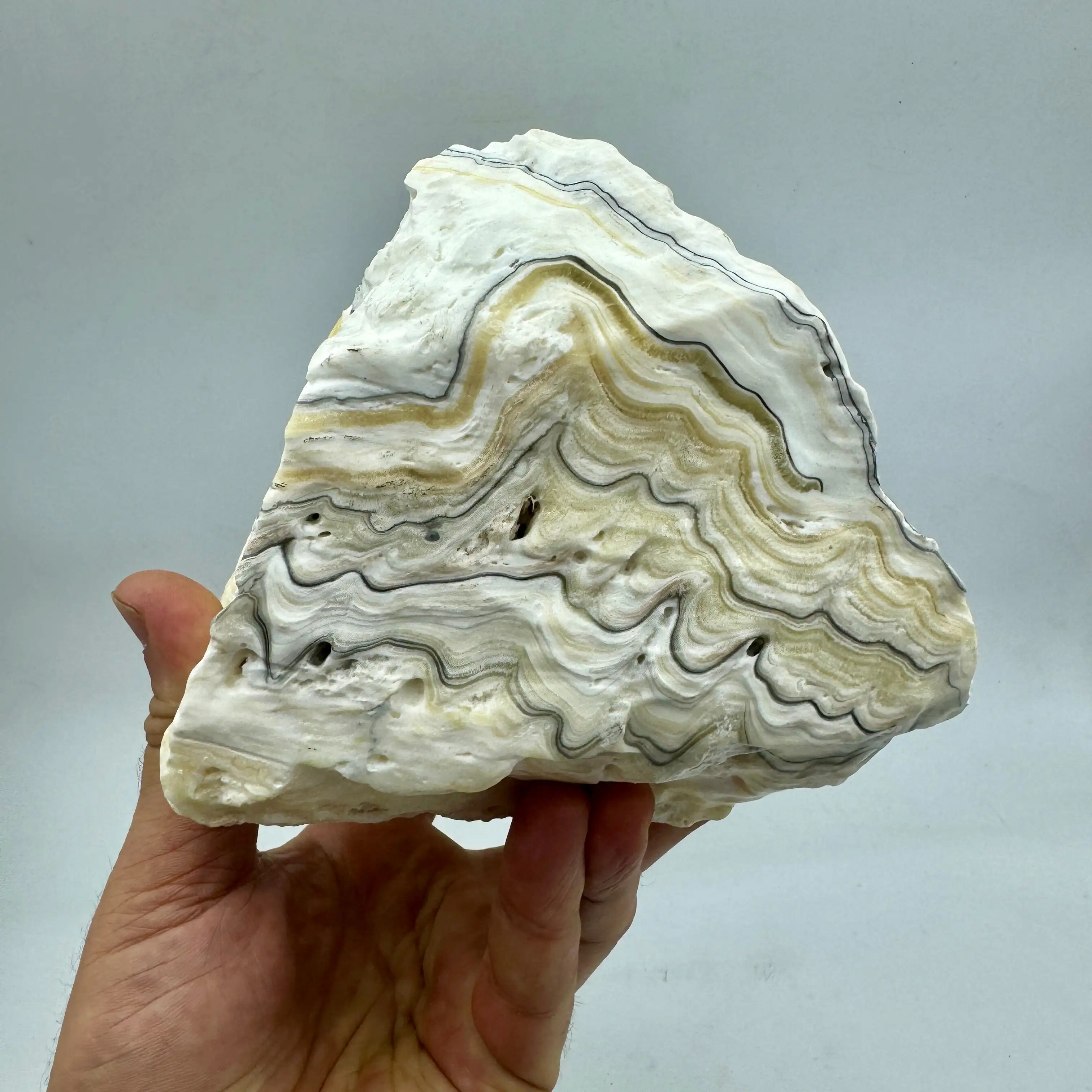 CALCITA CEBRA 4,7 kg. - Imagen 2