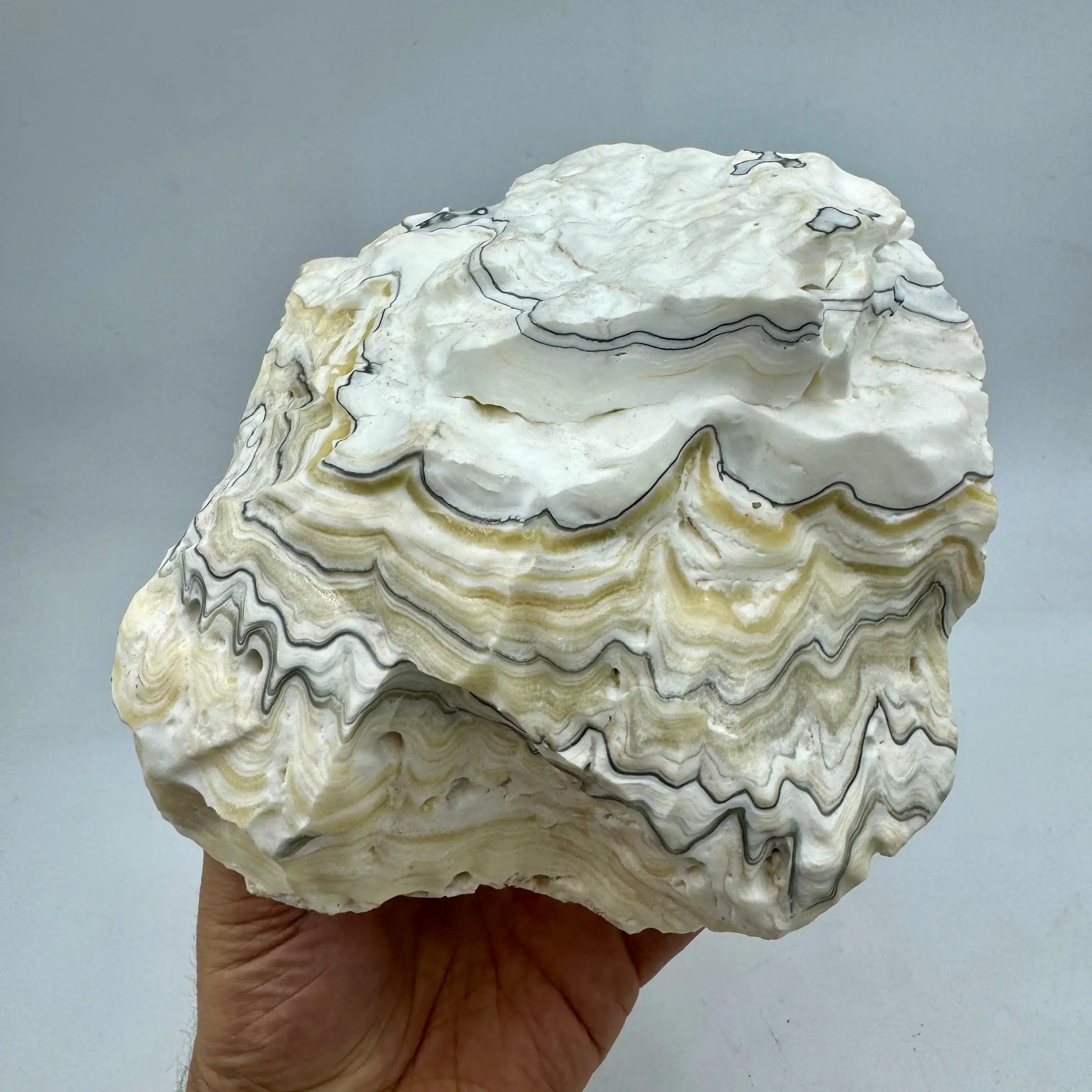 CALCITA CEBRA 4,7 kg. - Imagen 4