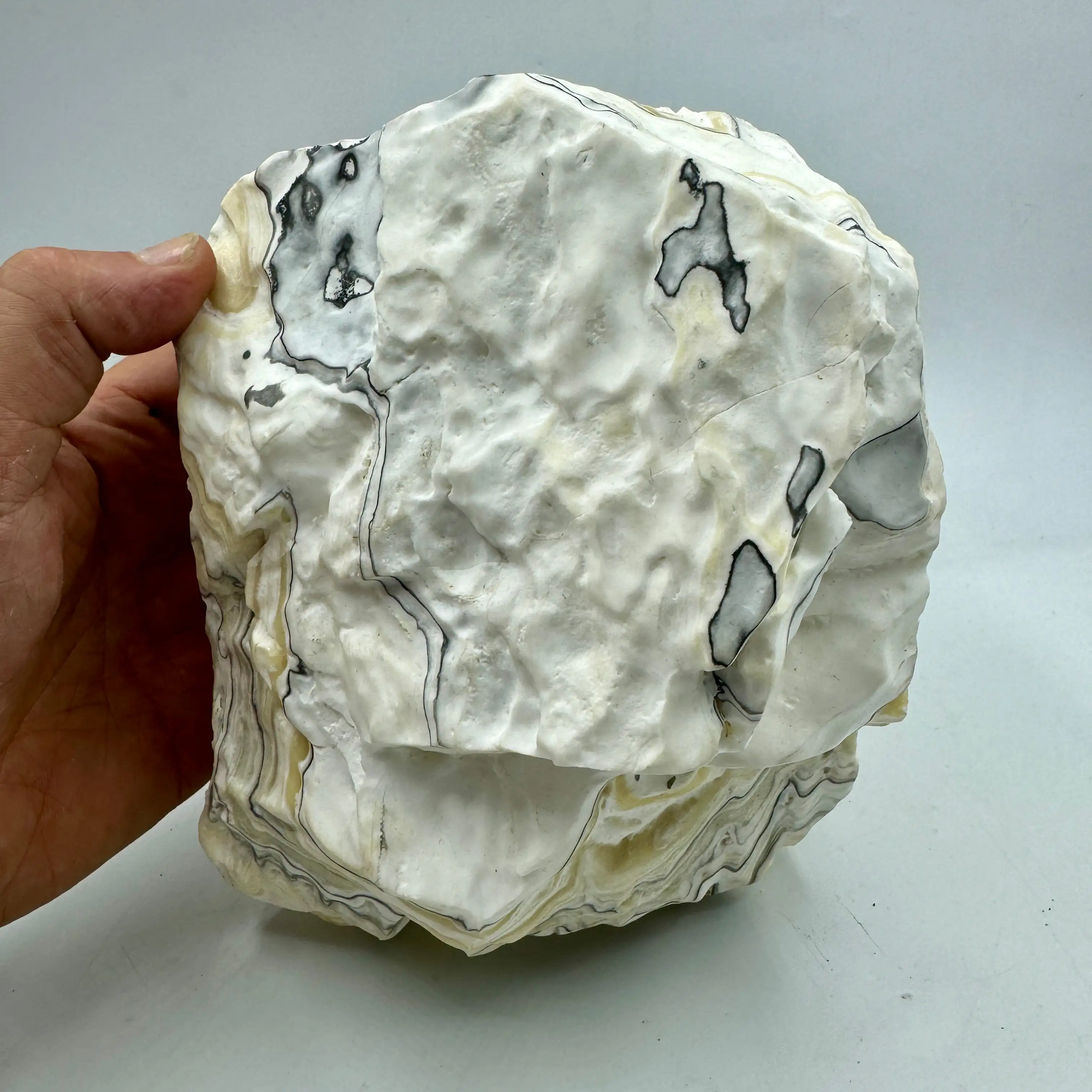 CALCITA CEBRA 4,7 kg. - Imagen 5