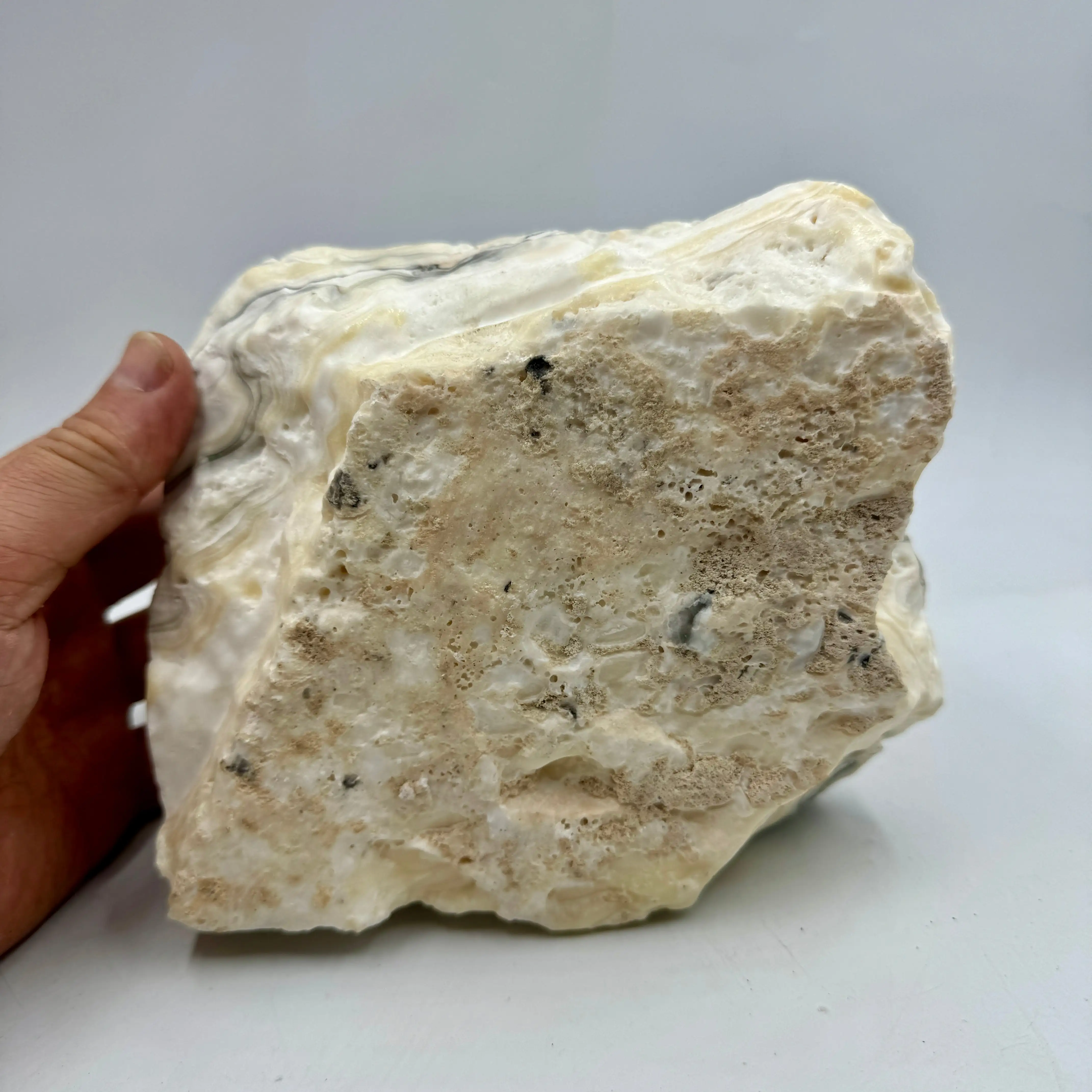 CALCITA CEBRA 4,7 kg. - Imagen 6