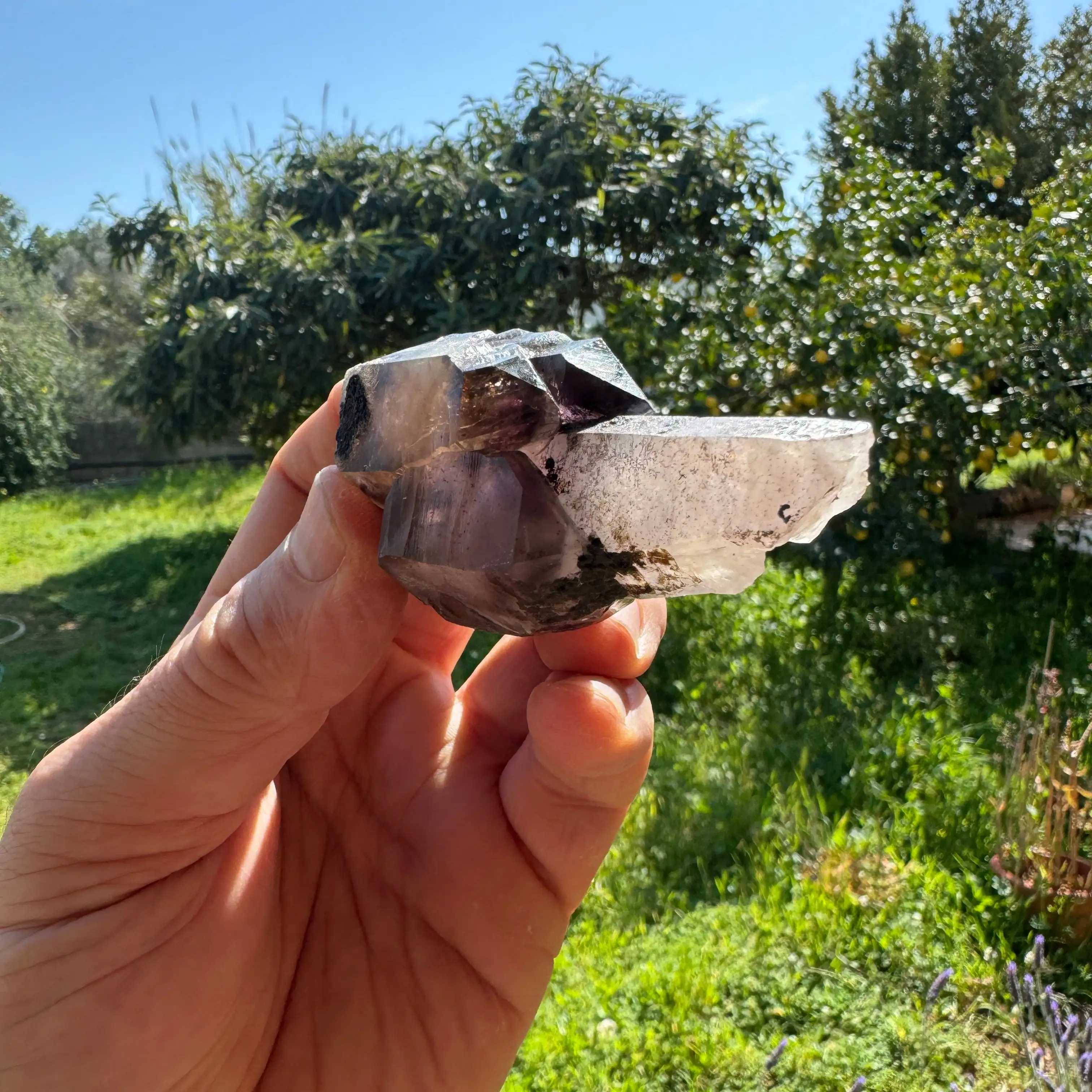 CETRO DE AMATISTA CON HEMATITA - Imagen 7