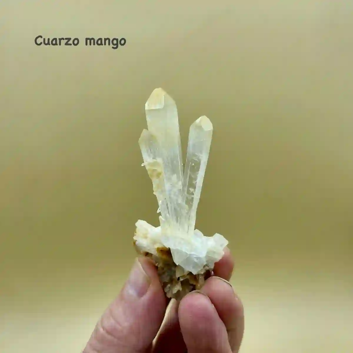 CUARZO MANGO CON HALLOYSITA COLOMBIA