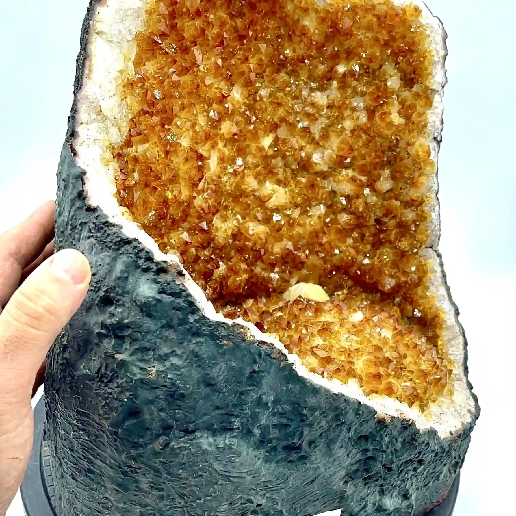 GEODA CÍTRICA 19,8 kg.