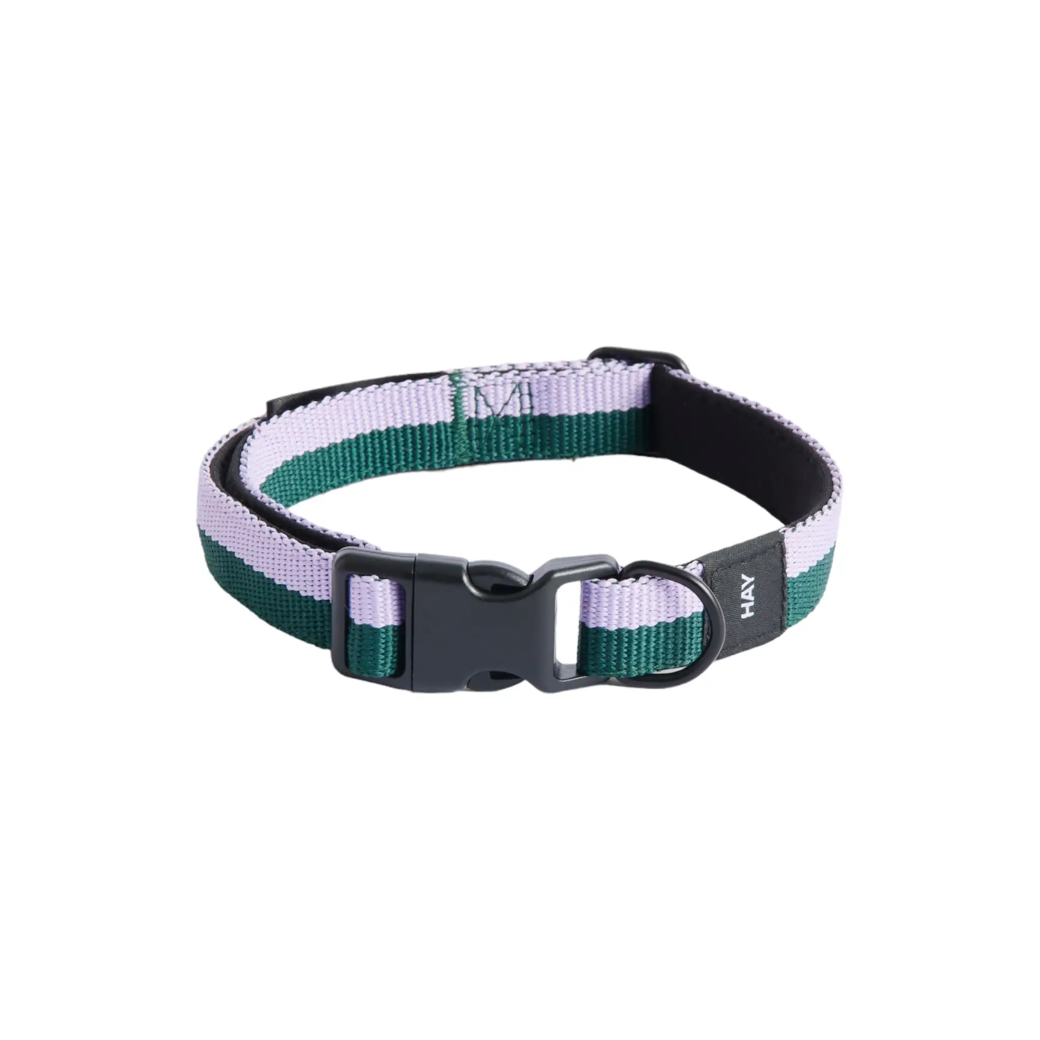 HAY COLLAR PARA PERROS PEQUEÑO/MEDIO (VARIOS COLORES) - Imagen 3