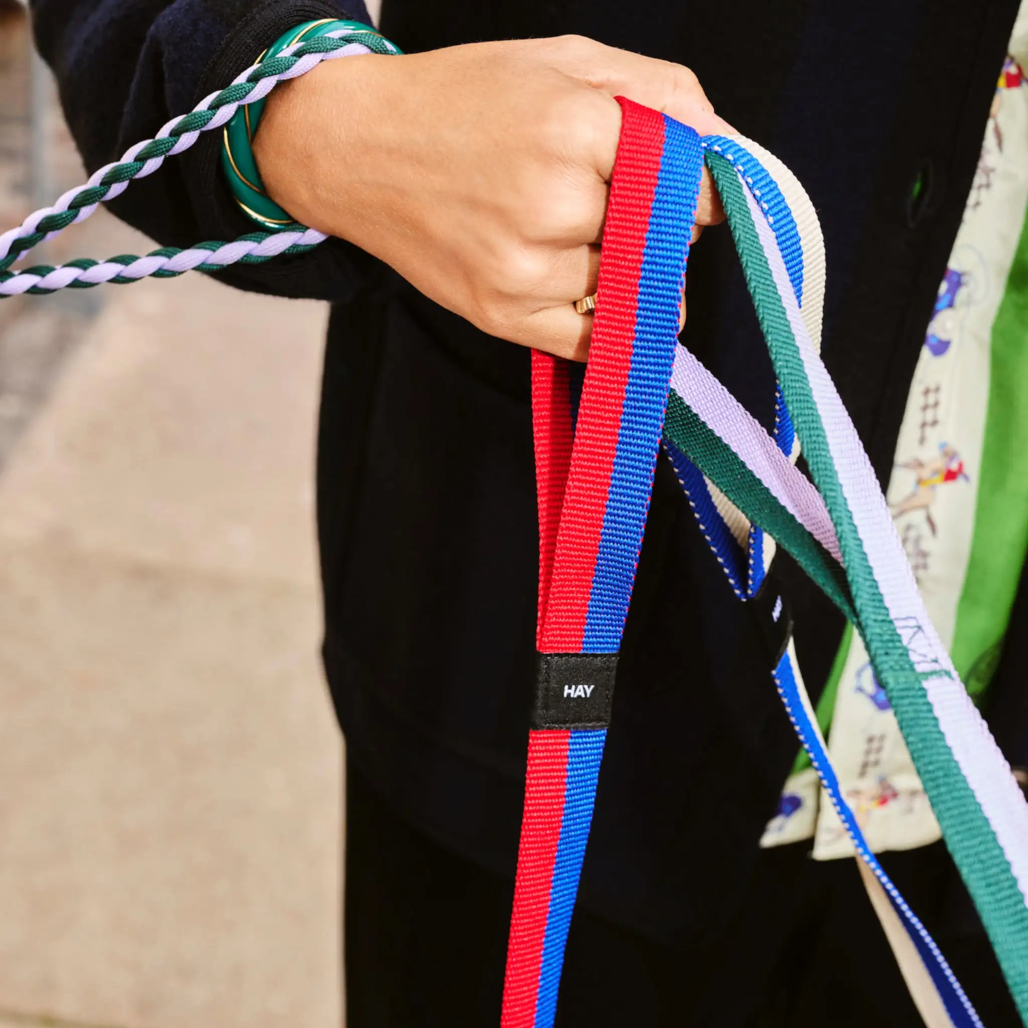 HAY CORREA PARA PERROS PLANA (VARIOS COLORES) - Imagen 2