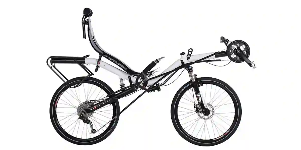 Ibex 24