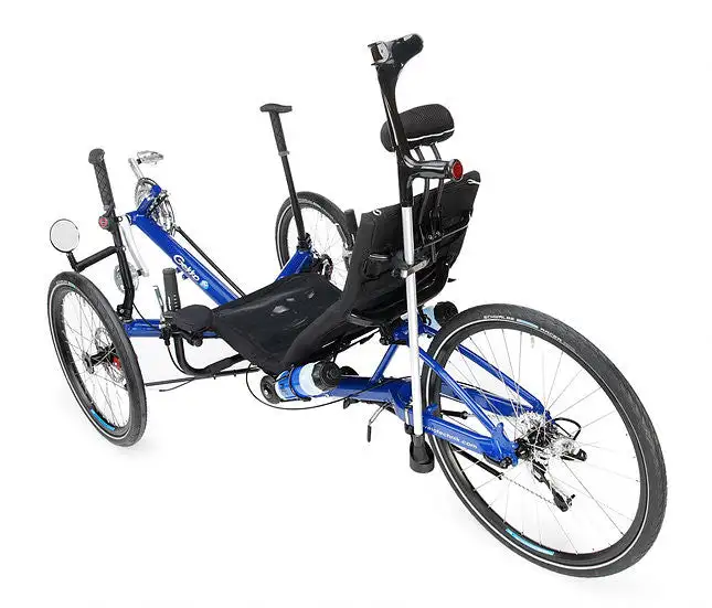 Support for cane or crutch