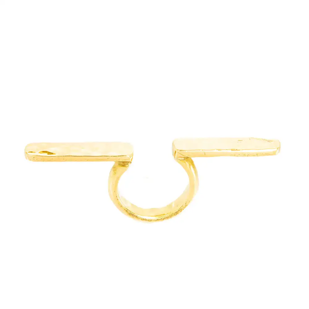 soy anillo