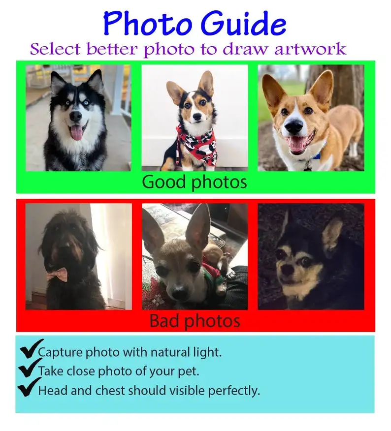 Personalized pet portrait - Digital Illustration - Image 4