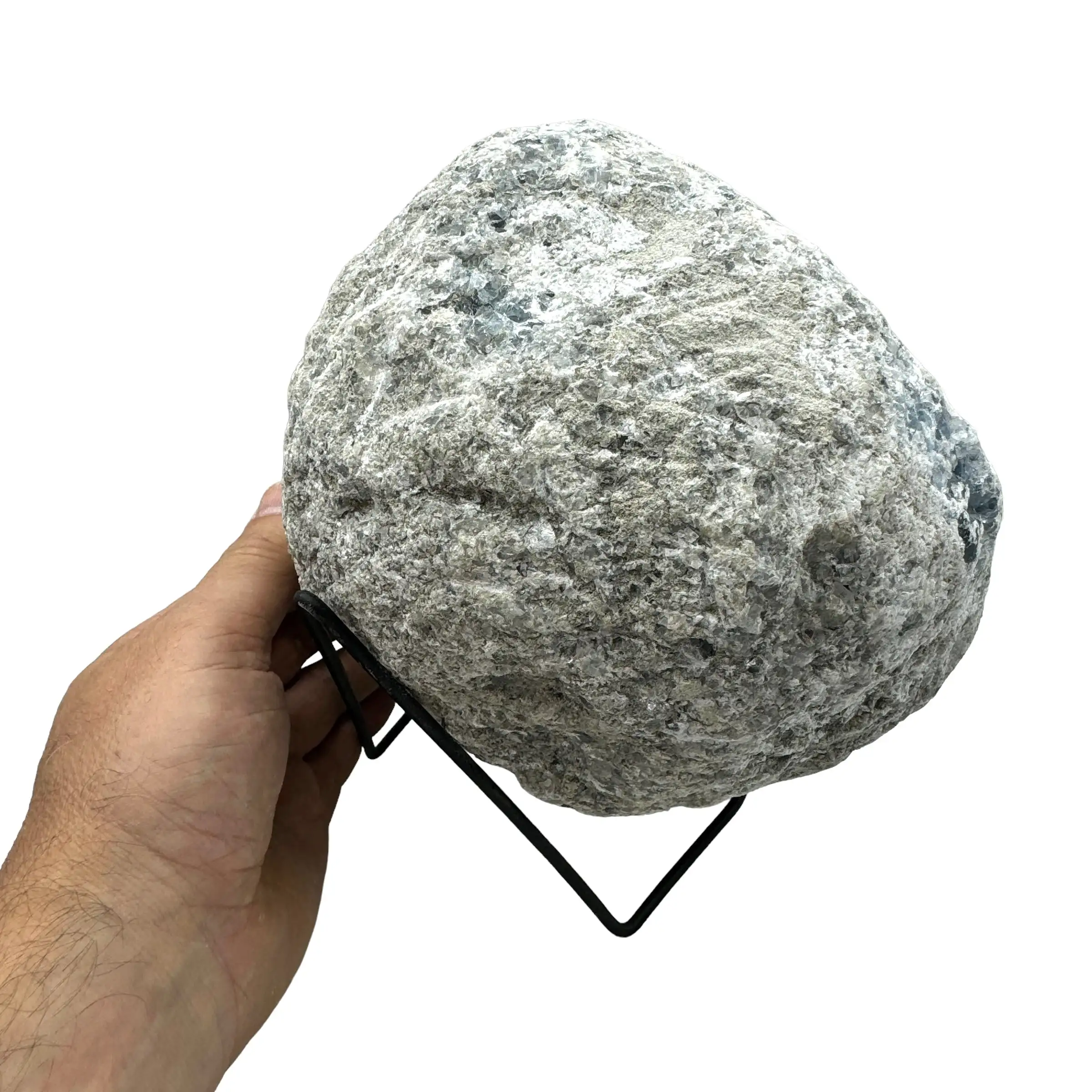 CELESTINA GEODA 12 kg. - Imagen 6