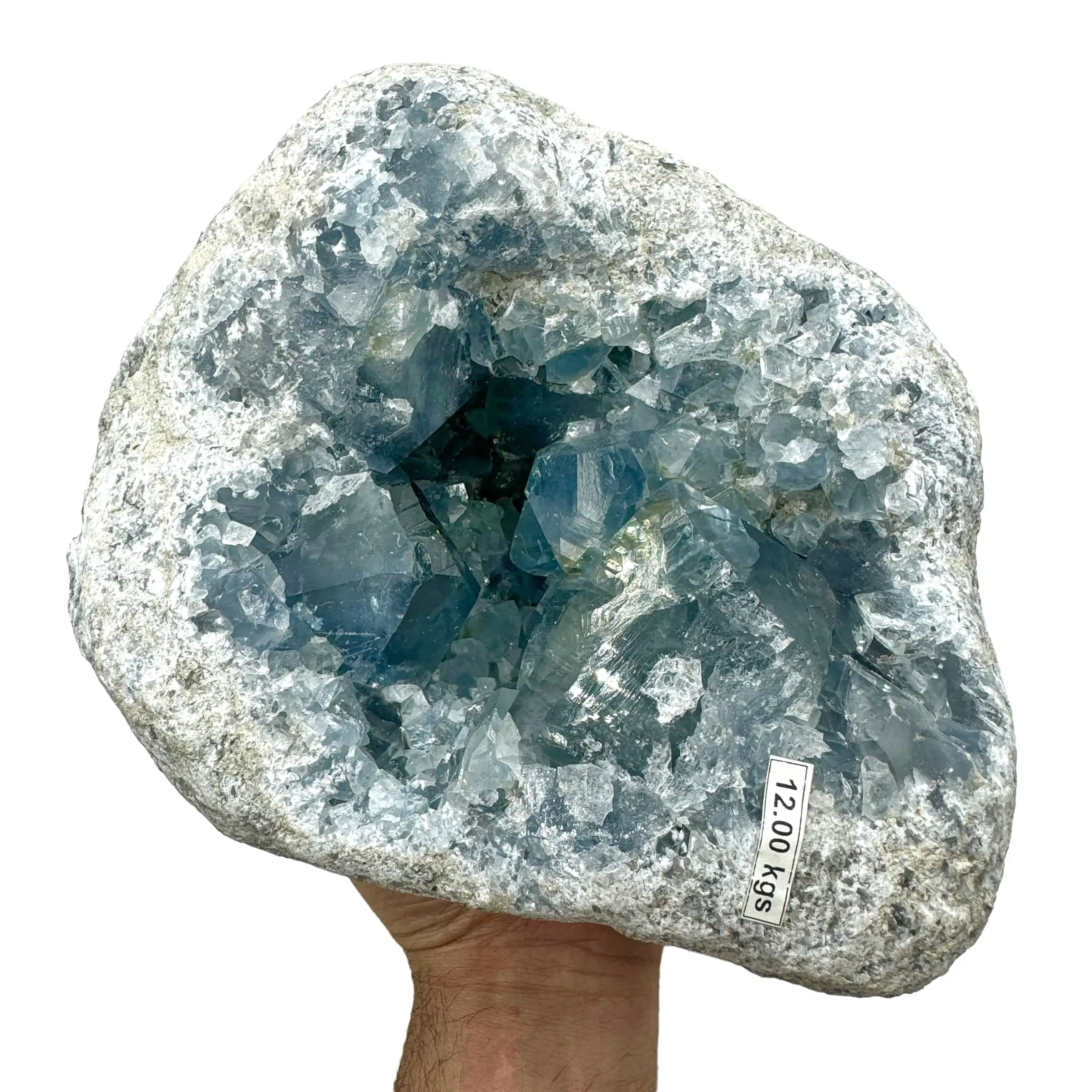 CELESTINA GEODA 12 kg. - Imagen 8