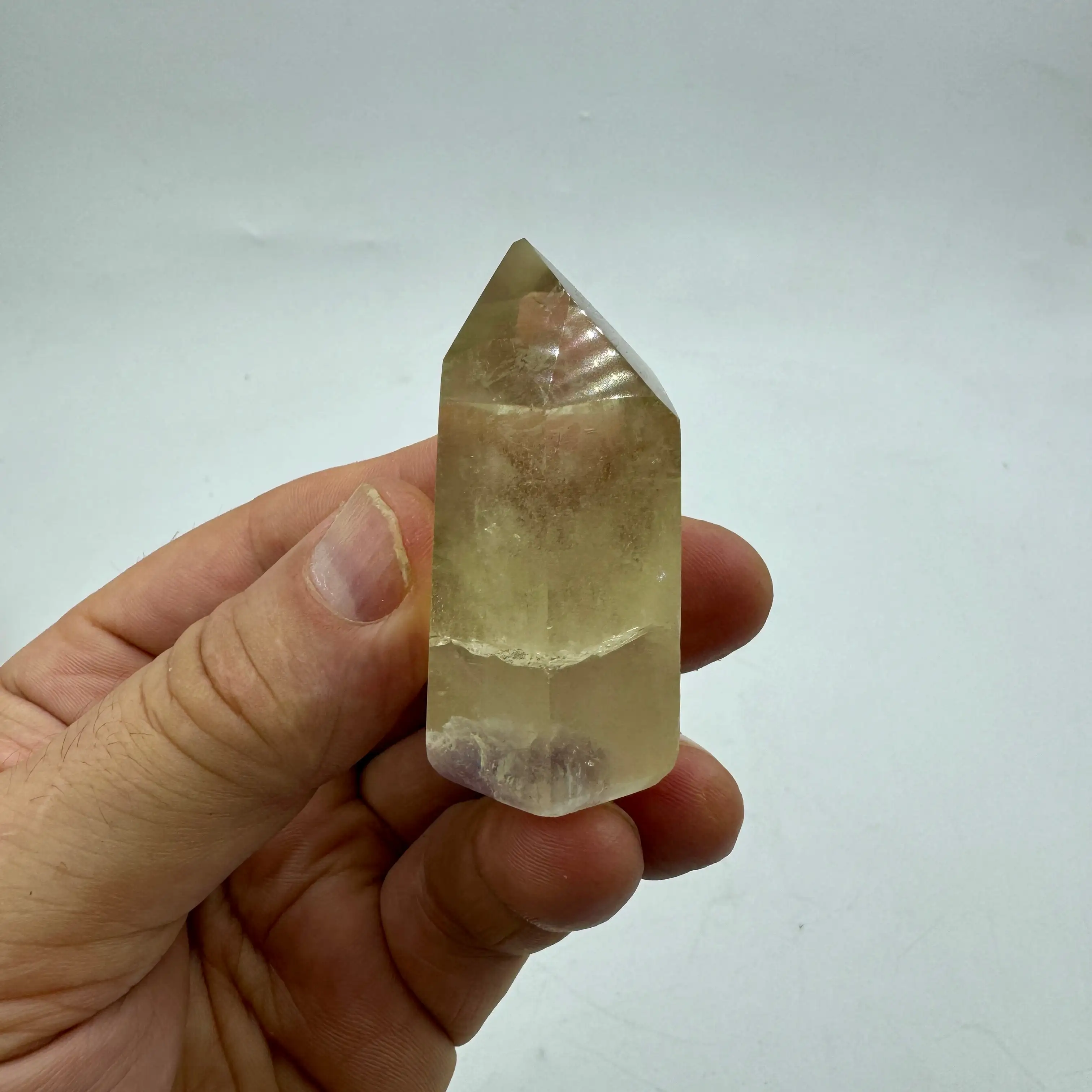 CÍTRICOS NATURALES PULIDOS - Imagen 4