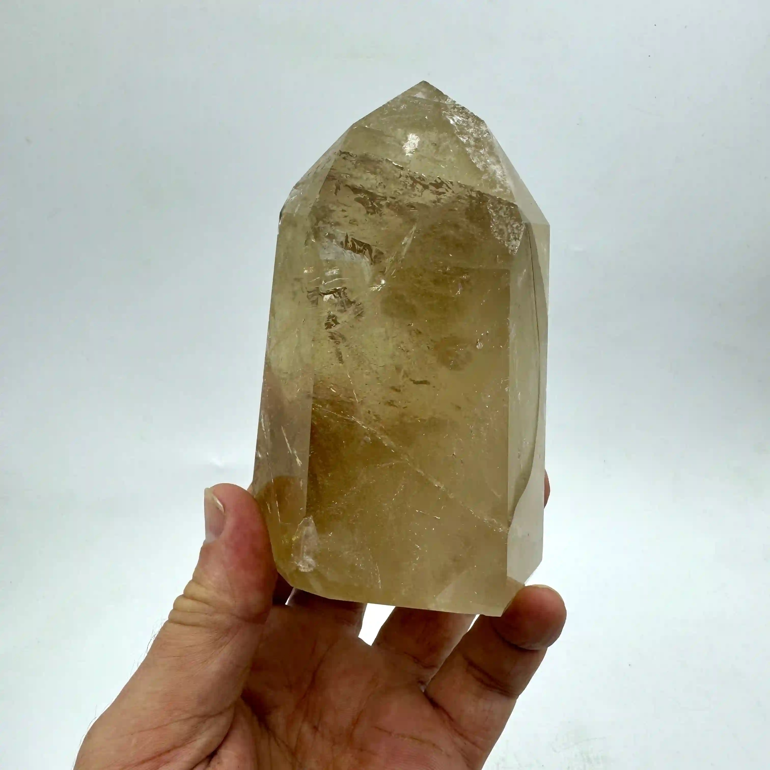 CÍTRICOS NATURALES PULIDOS