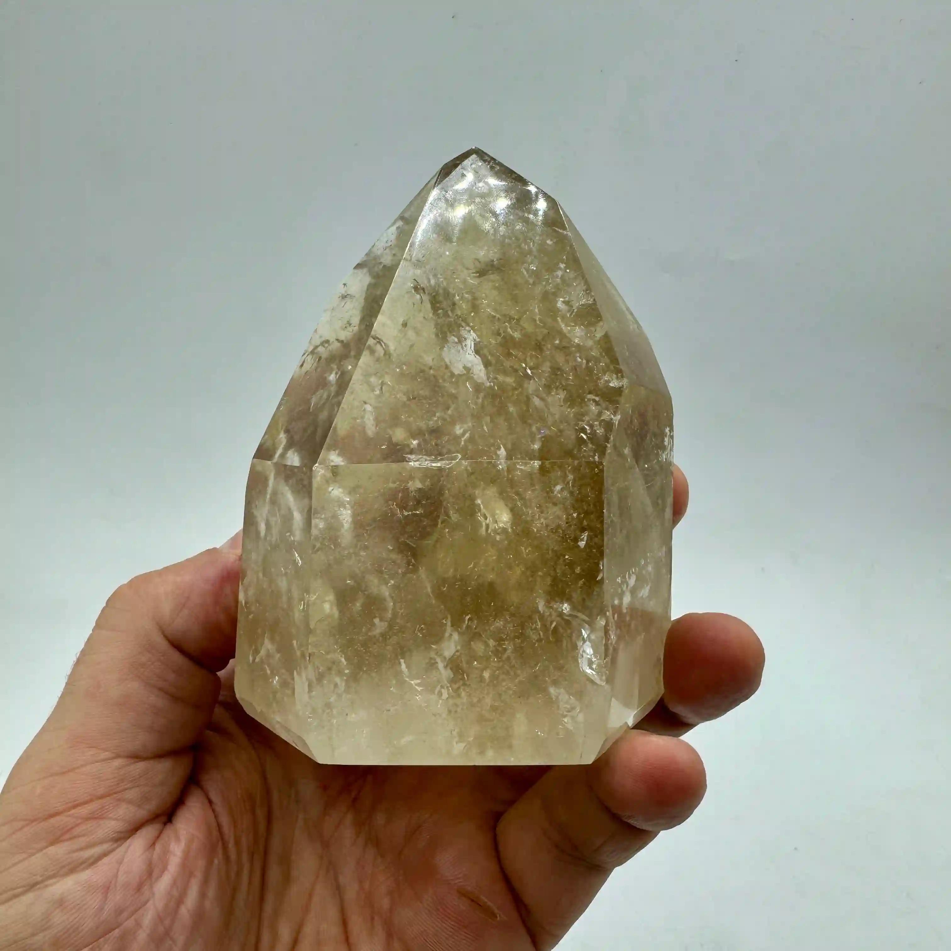CÍTRICOS NATURALES PULIDOS