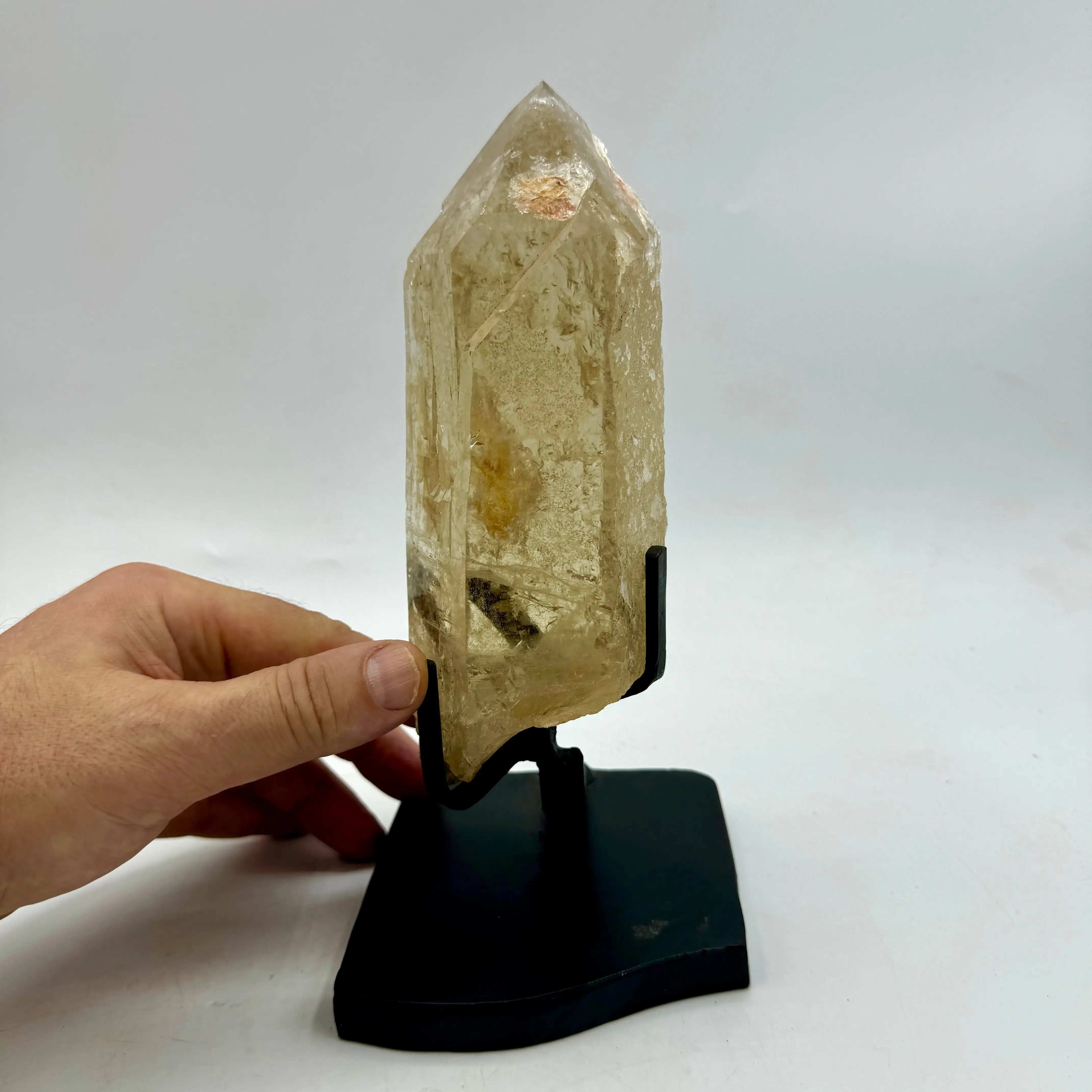 CÍTRICOS NATURALES SIN PULIR 984 g. BASE METALICA