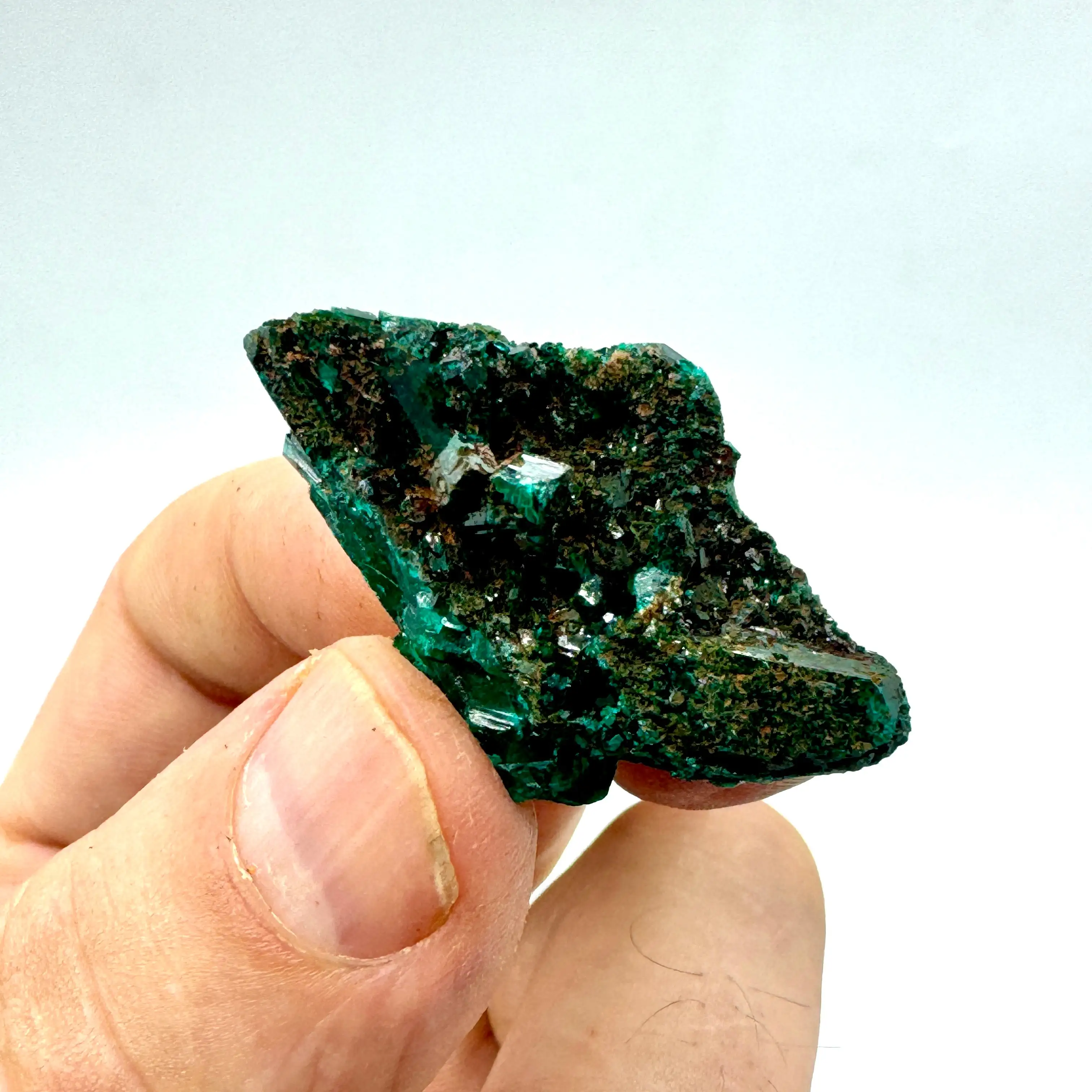 DIOPTASA DEL CONGO - Imagen 2
