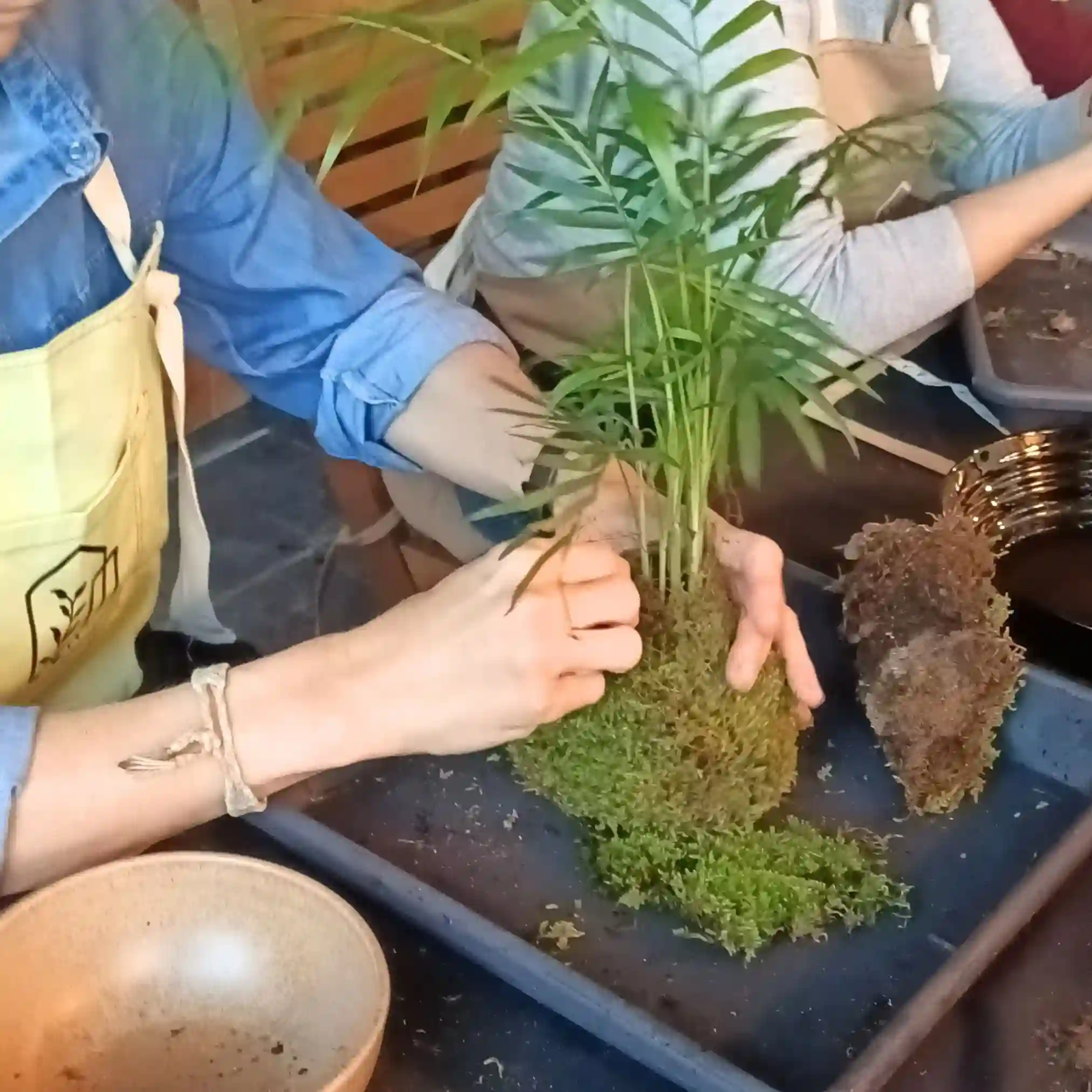 Experiencia Taller Kokedama