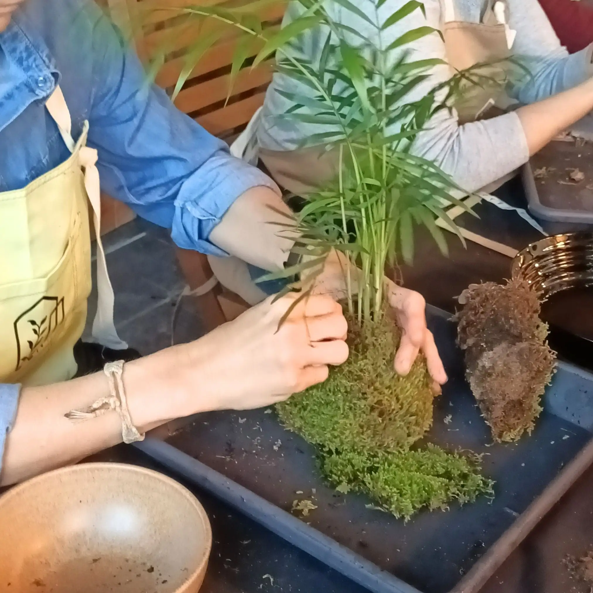 Experiencia Taller Kokedama