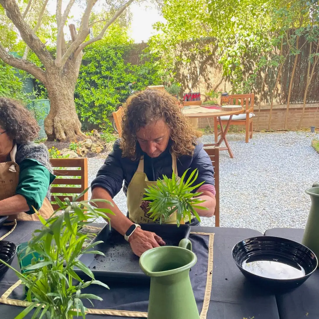 Experiencia Taller Kokedama - Imagen 5