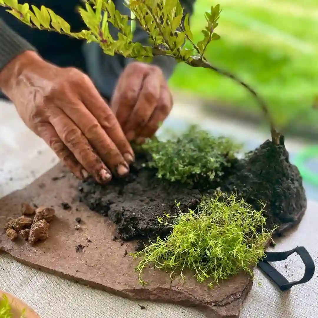 Experiencia taller Mini Jardín