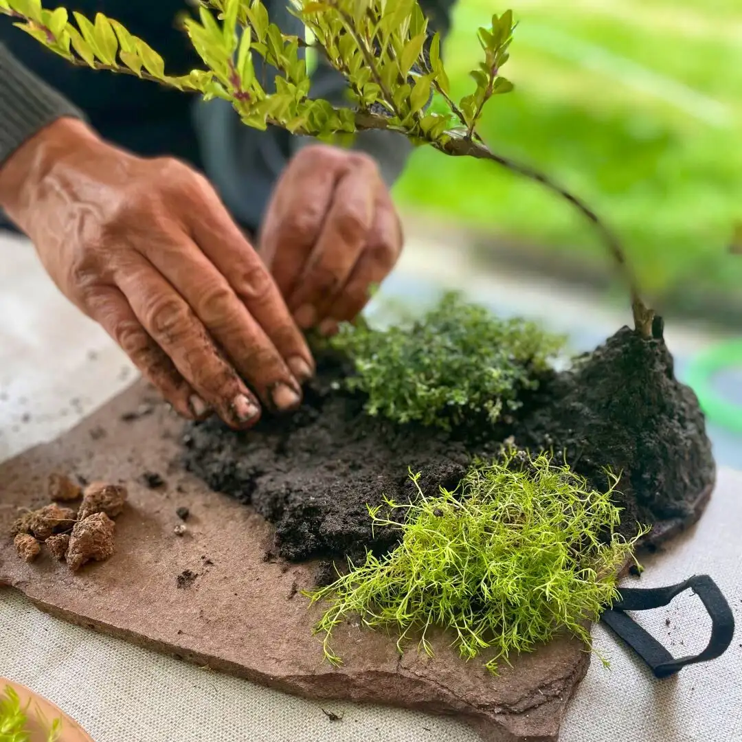 Experiencia taller Mini Jardín