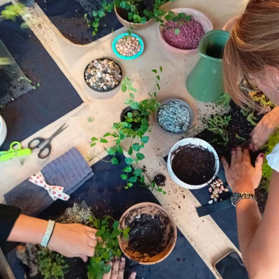 Experiencia taller Mini Jardín - Imagen 2