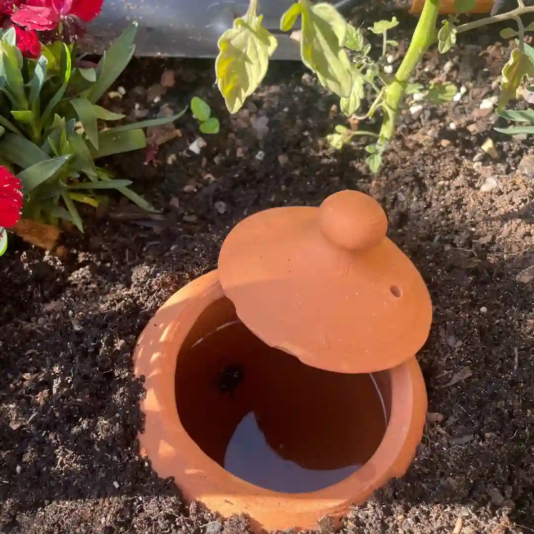 Self Watering Pot