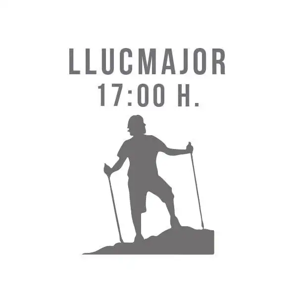 Grupo Llucmajor 17: 00h (1 clase semanal)