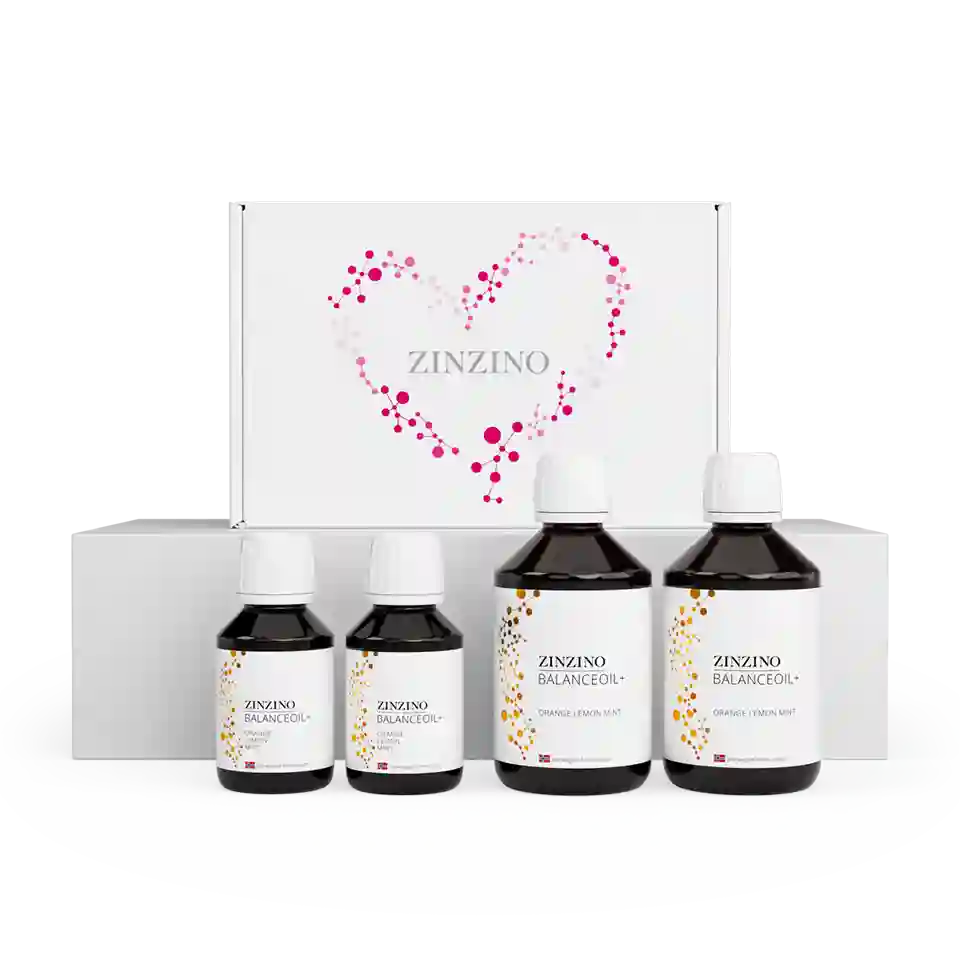 ZINZINO BALANCE OIL KIT
