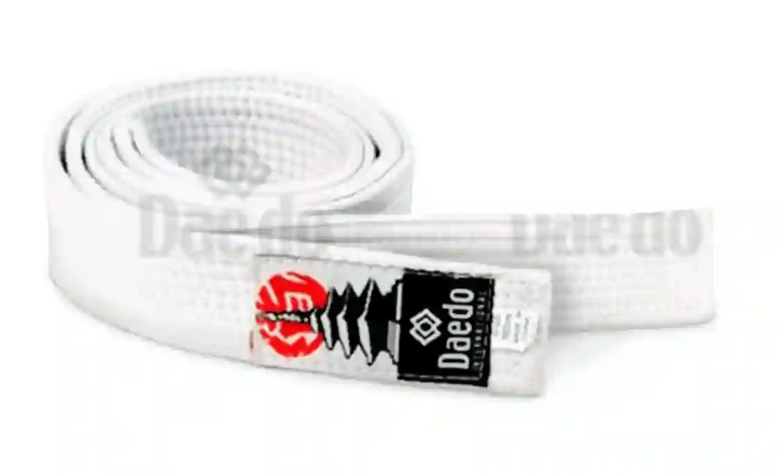 CINTURON DAEDO MONOCOLOR 310CM
