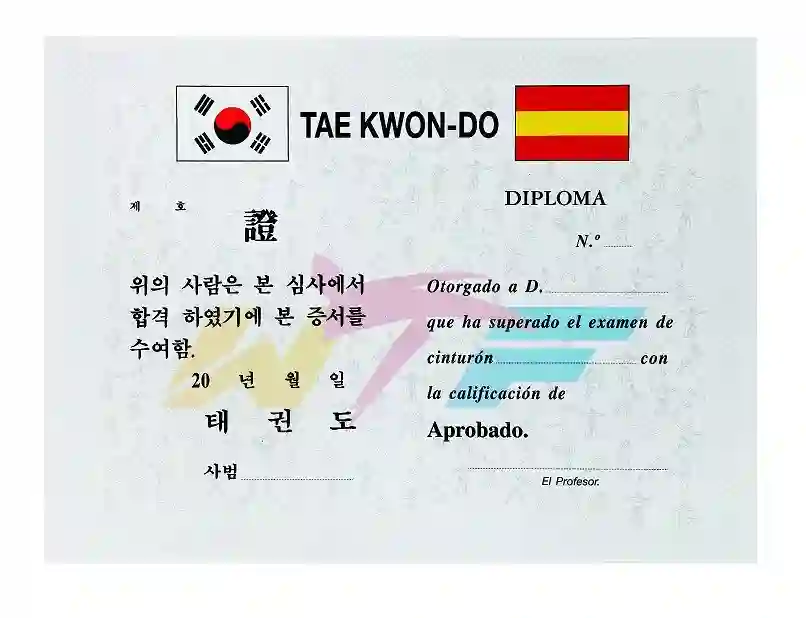 DIPLOMA TAEKWONDO DAEDO