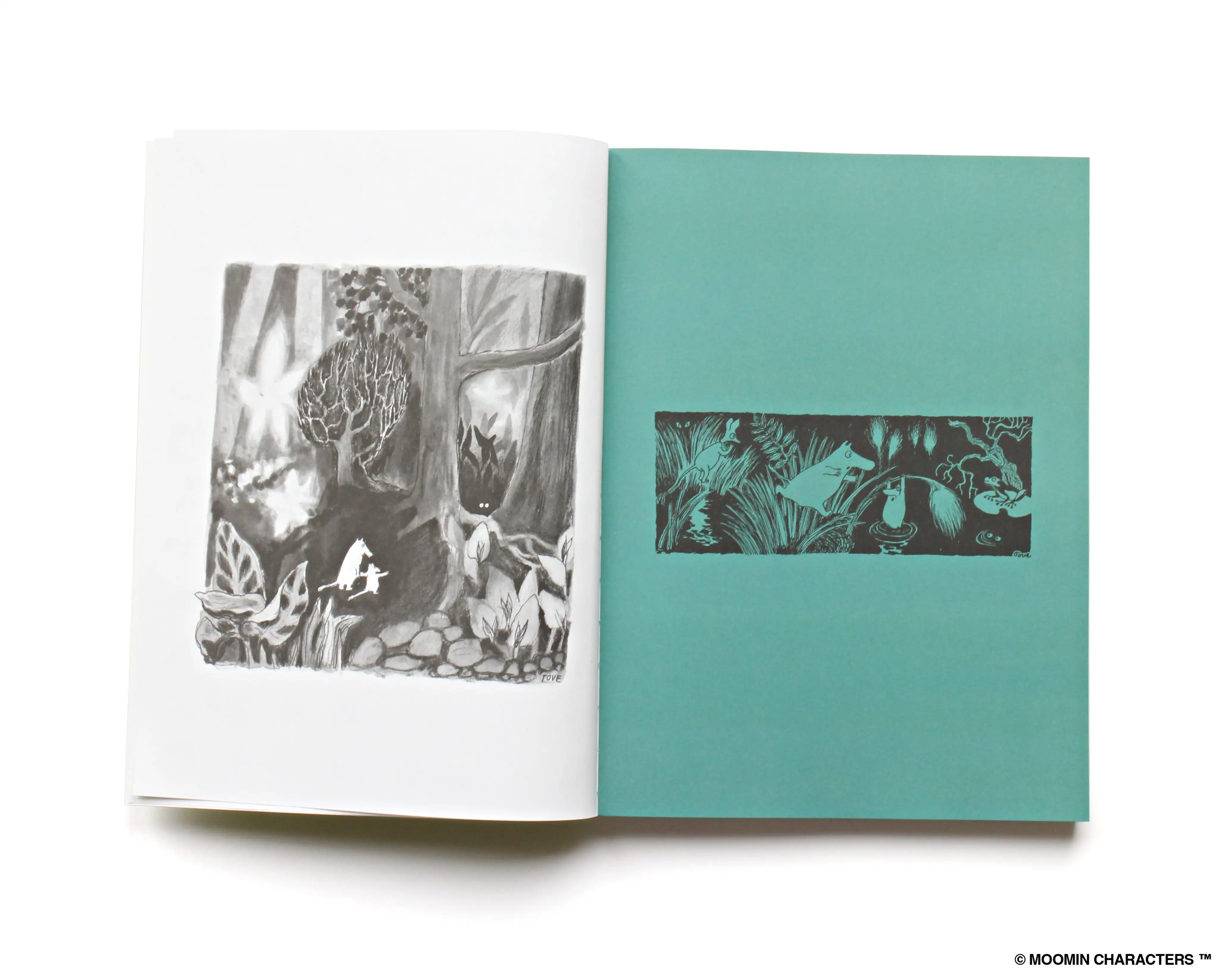 Idea Moomin / Libro de edición de aniversario de la naturaleza traviesa - Imagen 4