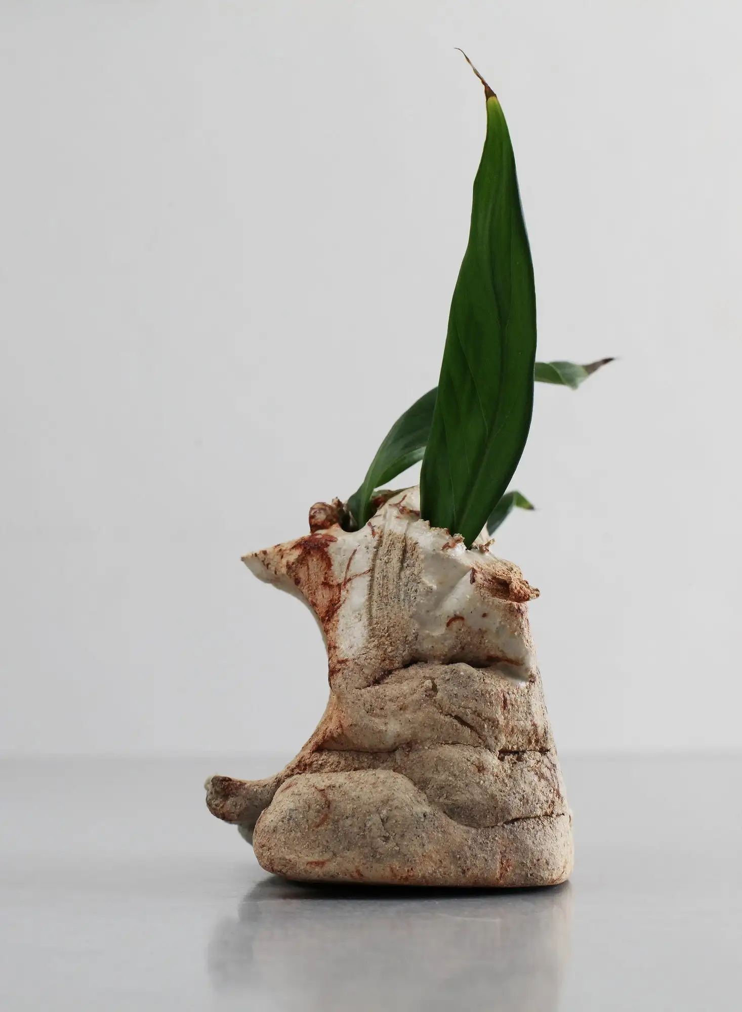 Jarrón de cogollos, jarrón en miniatura, jarrón ikebana, jarrón, mini jarrón - Imagen 5