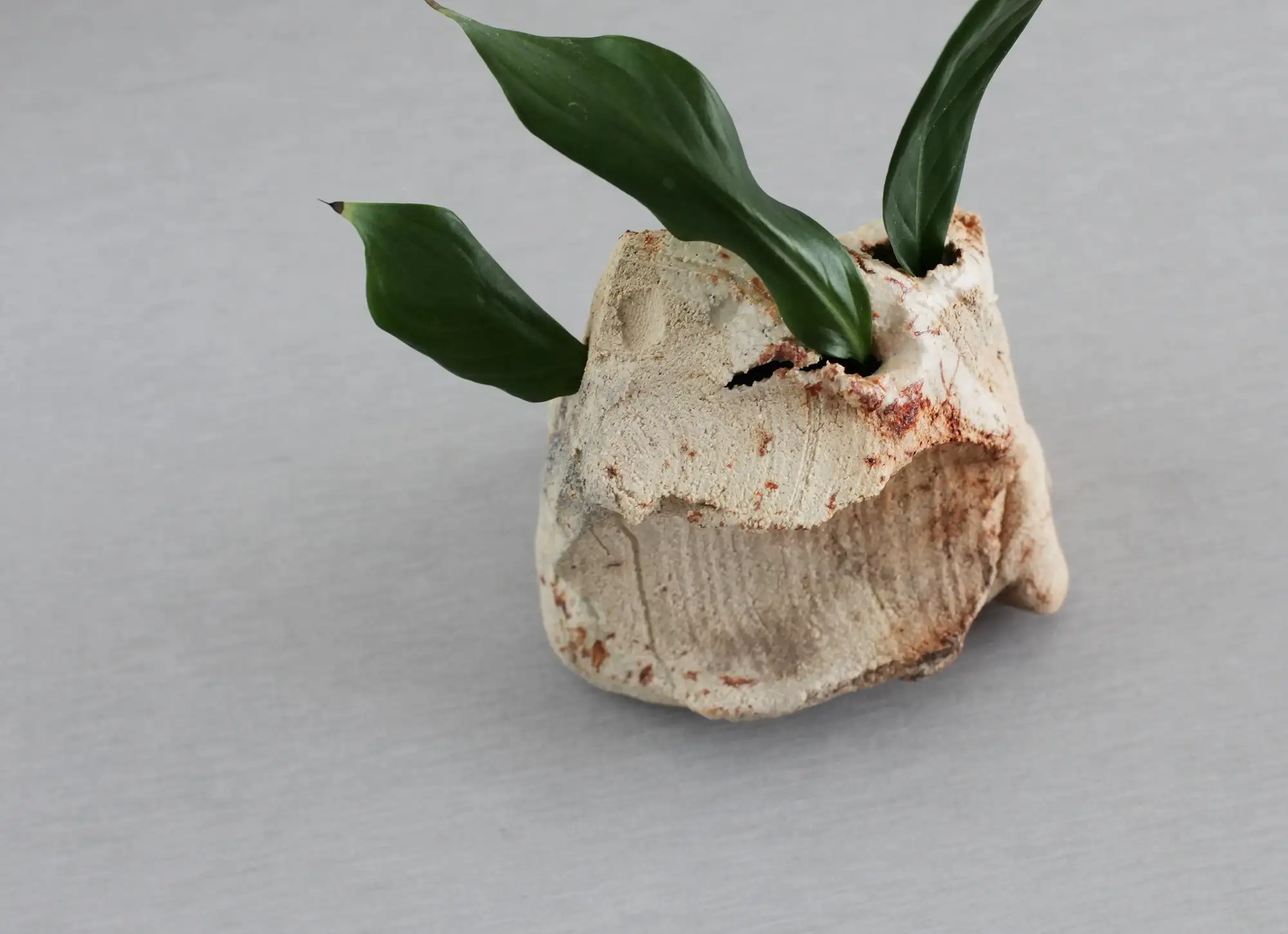 Jarrón de cogollos, jarrón en miniatura, jarrón ikebana, jarrón, mini jarrón - Imagen 7