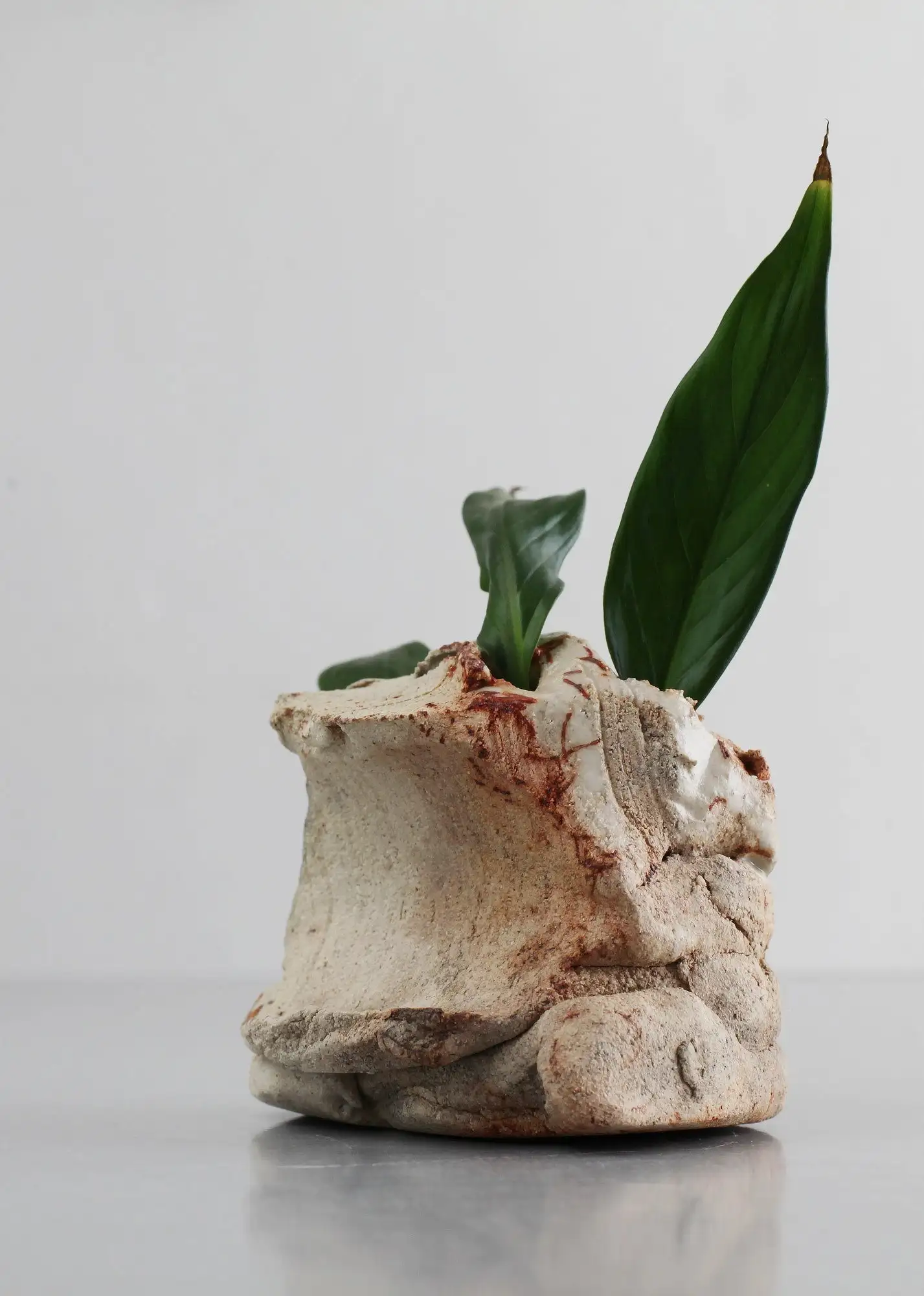 Jarrón de cogollos, jarrón en miniatura, jarrón ikebana, jarrón, mini jarrón - Imagen 11